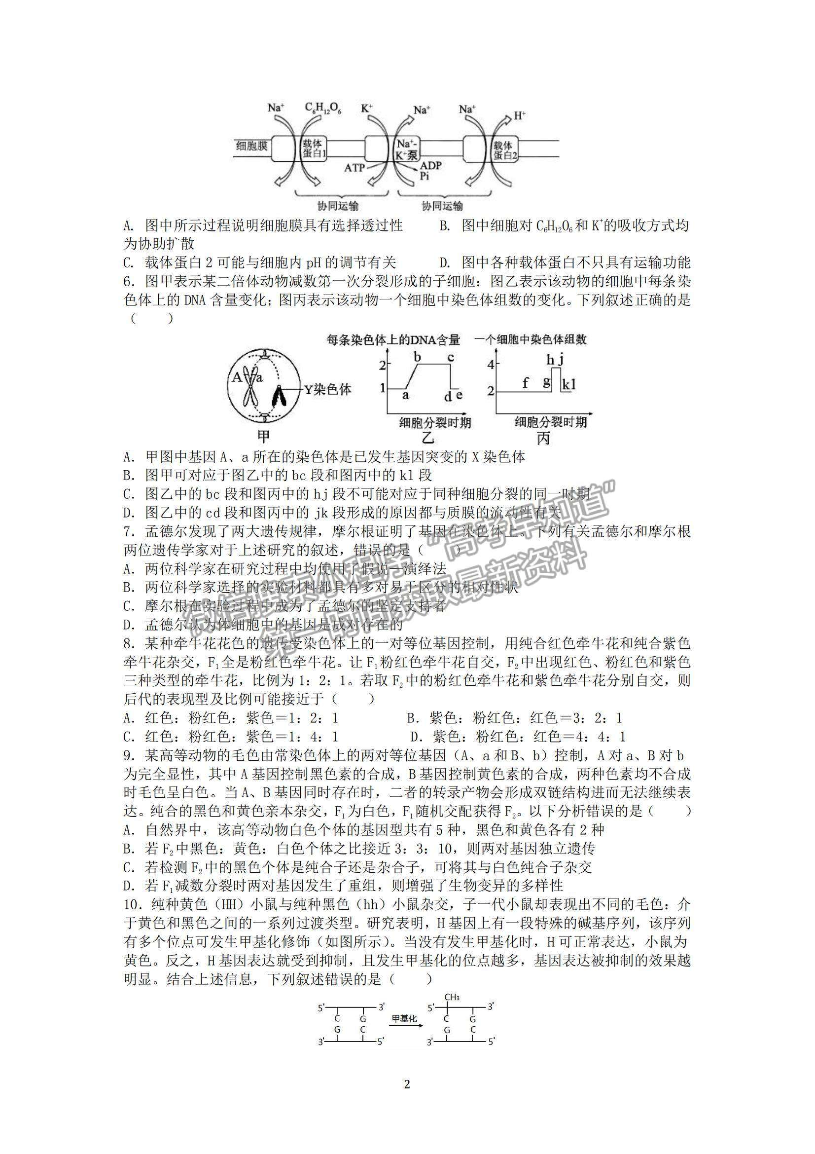 2022山東師范大學附屬中學高三上學期期中考試生物試題及參考答案