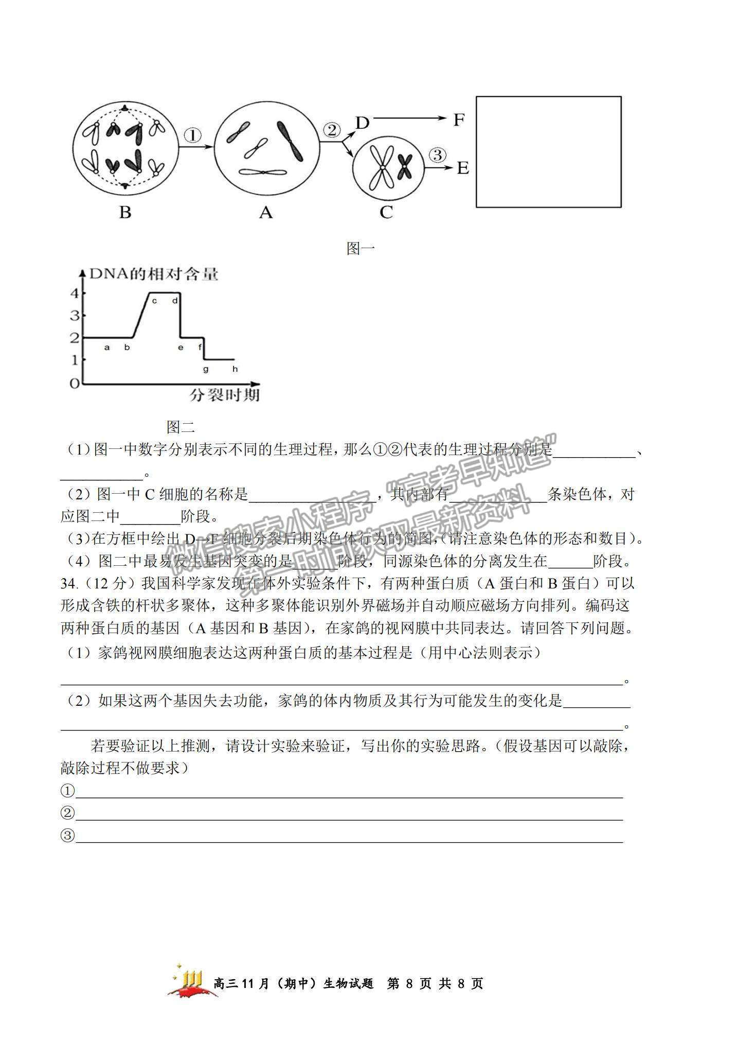 2022山西大學附中高三上學期11月期中考試生物試題及參考答案