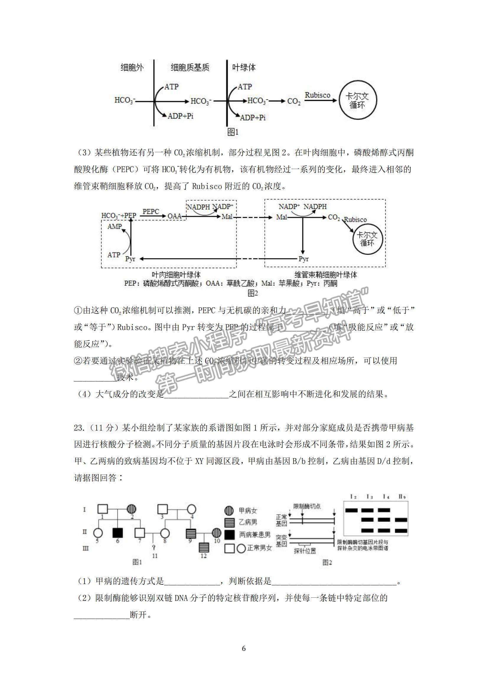 2022山東師范大學(xué)附屬中學(xué)高三上學(xué)期期中考試生物試題及參考答案