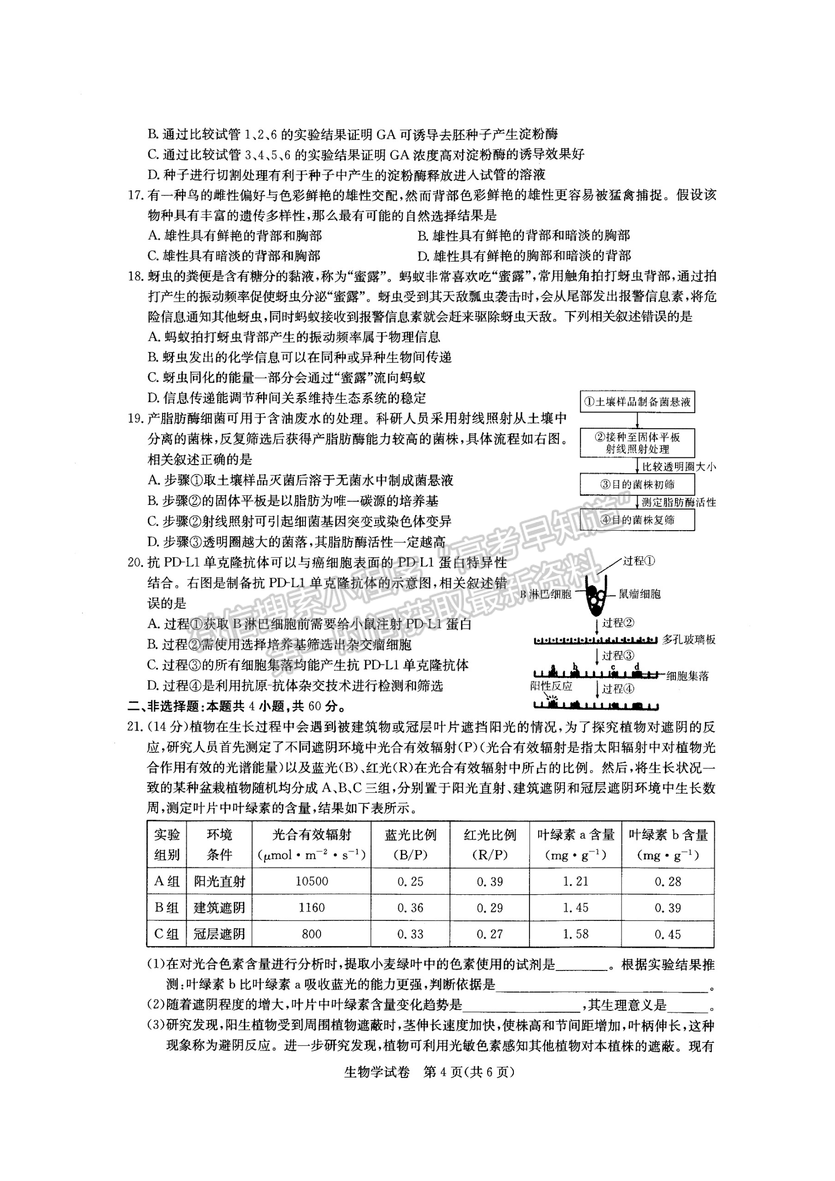 2022湖北部分重點中學(xué)高三第二次聯(lián)考生物試卷及答案