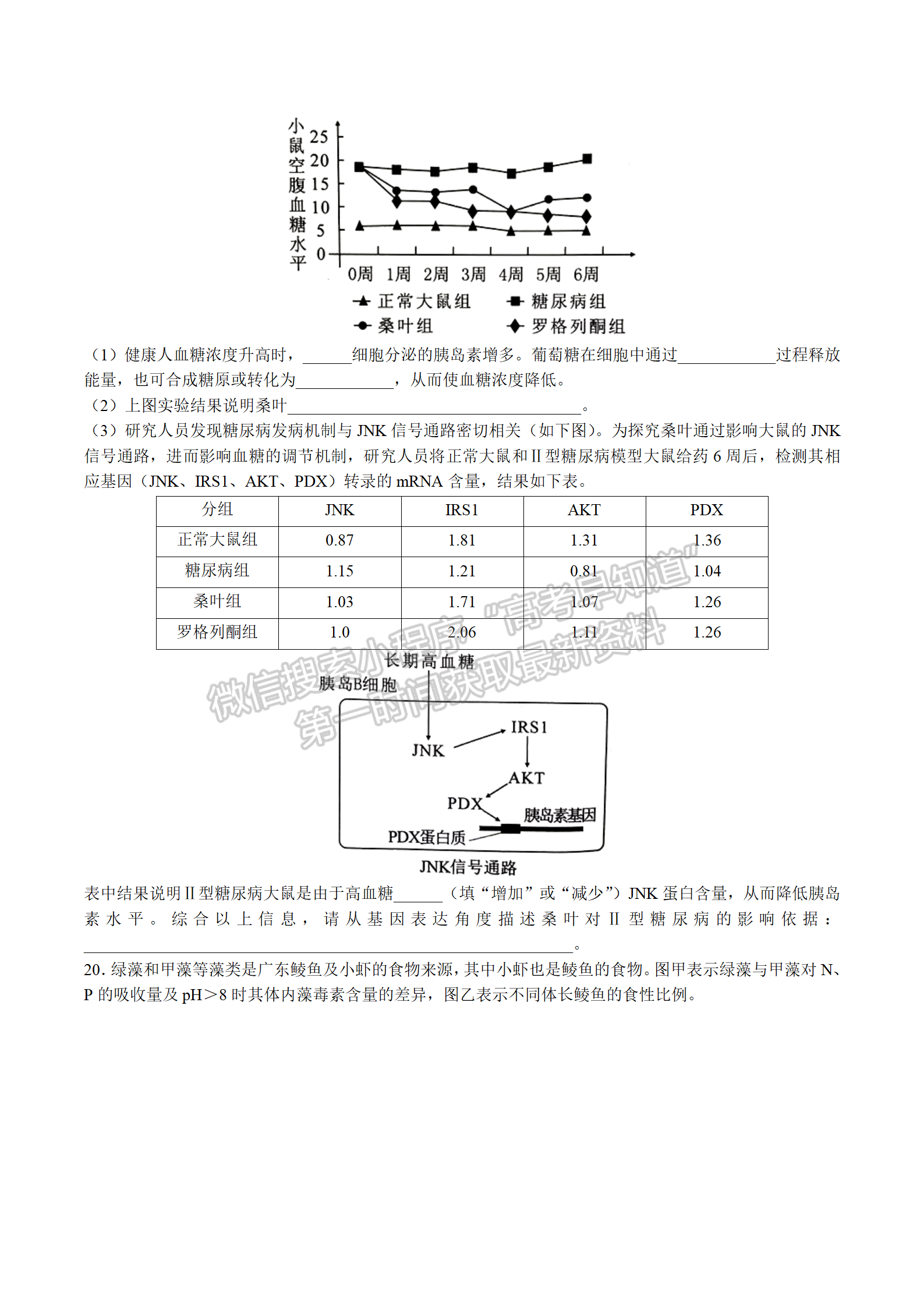 2022屆湖南永州市高三第一次適應性考試生物試題及答案