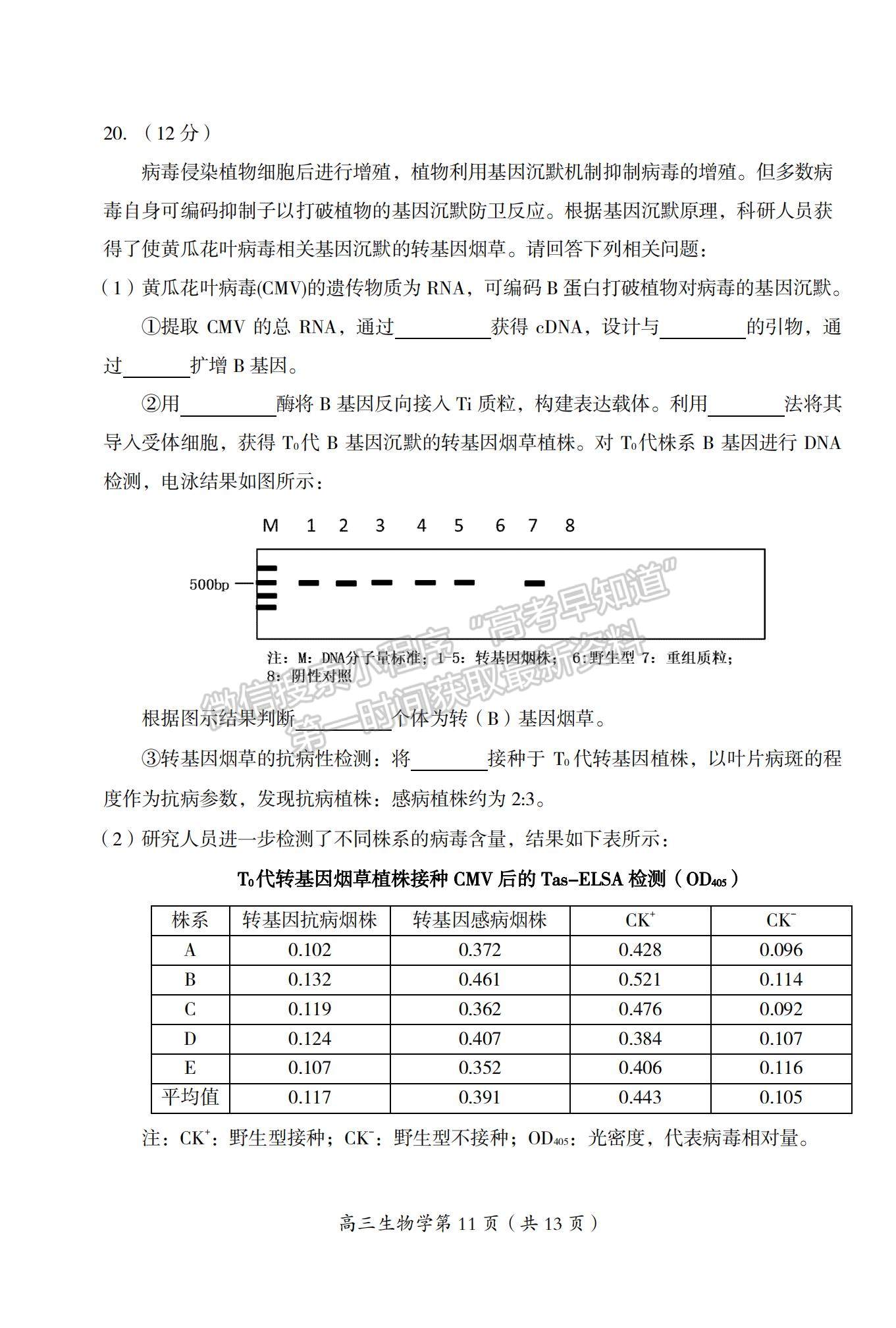 2022北京市房山區(qū)高三上學(xué)期期末考試生物試題及參考答案