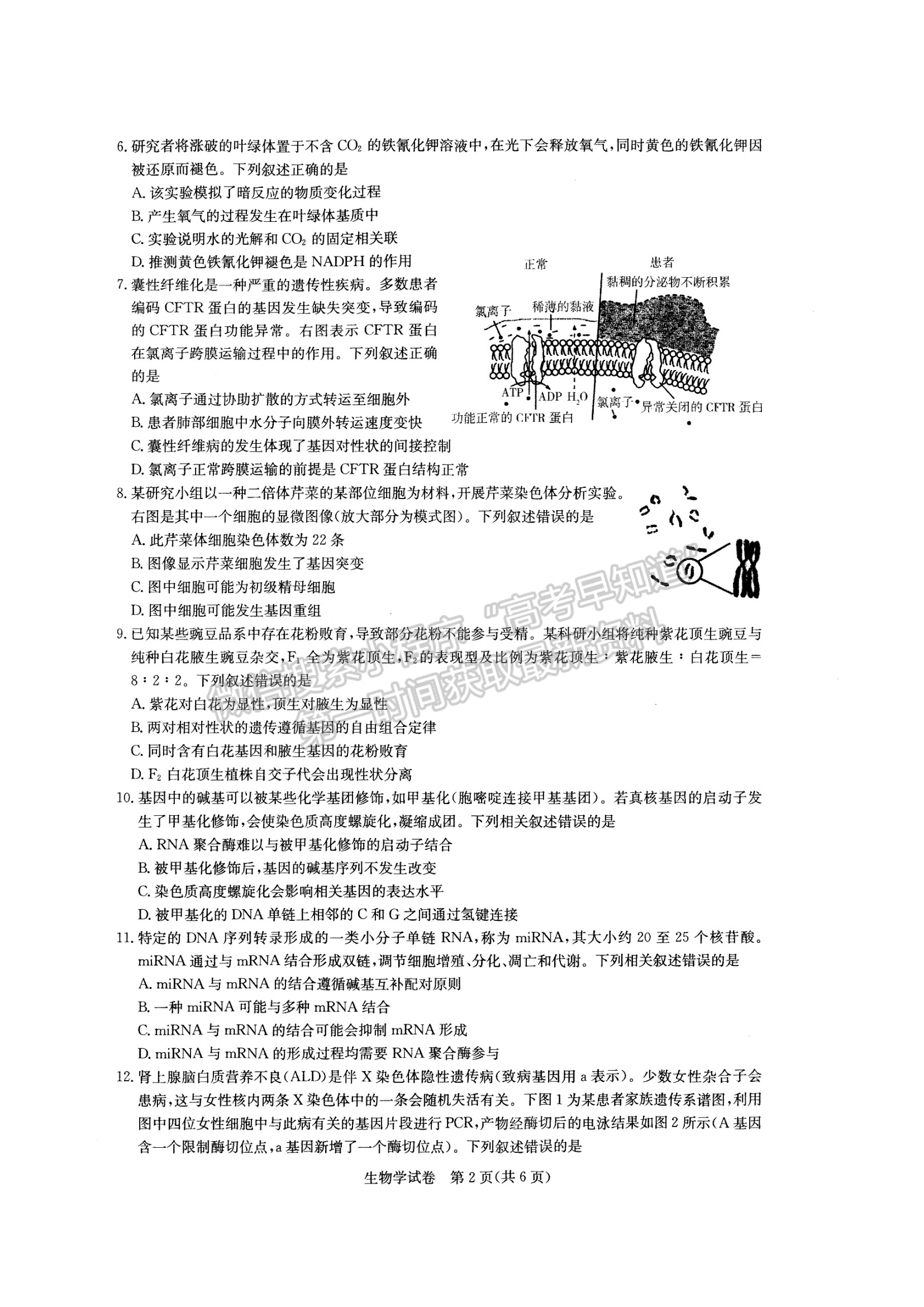 2022湖北部分重點中學高三第二次聯(lián)考生物試卷及答案