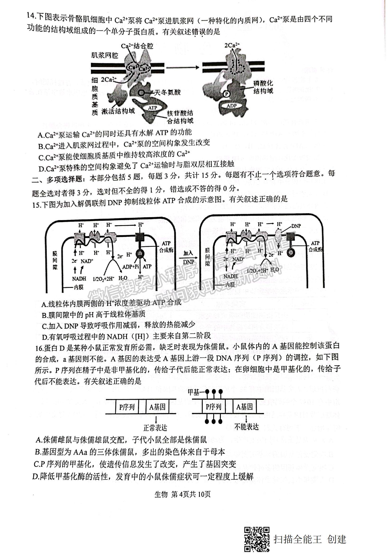 2022江蘇省徐州市高三上學(xué)期期中抽測(cè)生物試題及參考答案