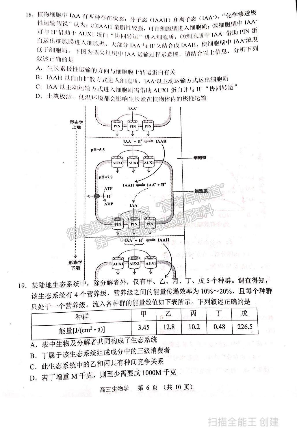 2022遼寧省沈陽市高三一模生物試題及參考答案