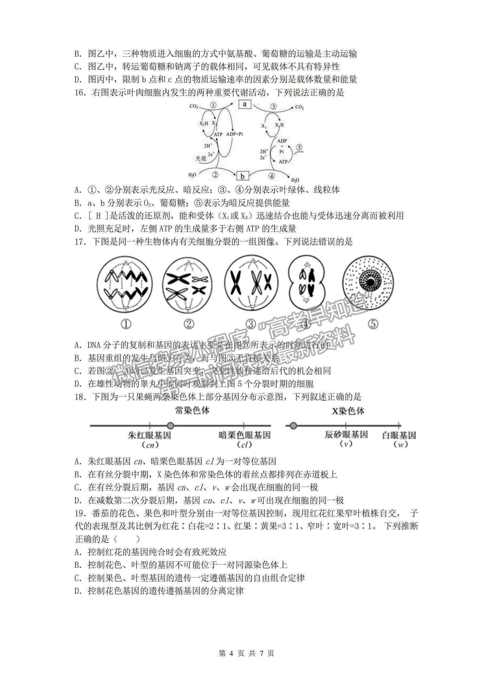 2022江蘇省淮安市高中校協(xié)作體高三上學(xué)期期中考試生物試題及參考答案