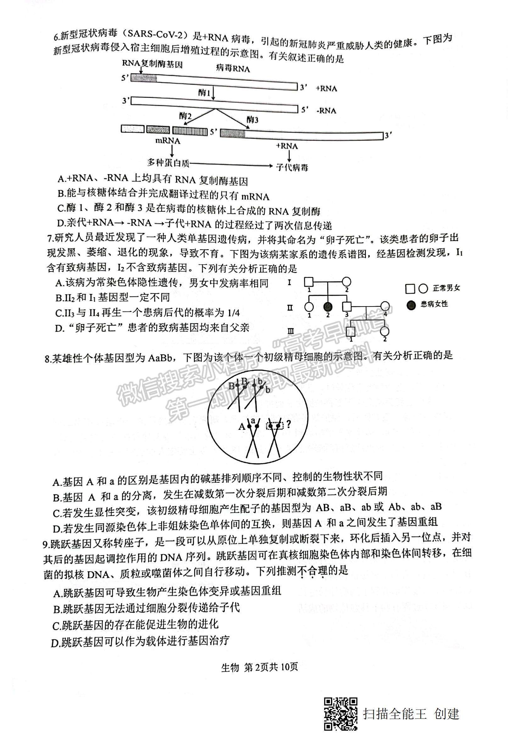 2022江蘇省徐州市高三上學期期中抽測生物試題及參考答案