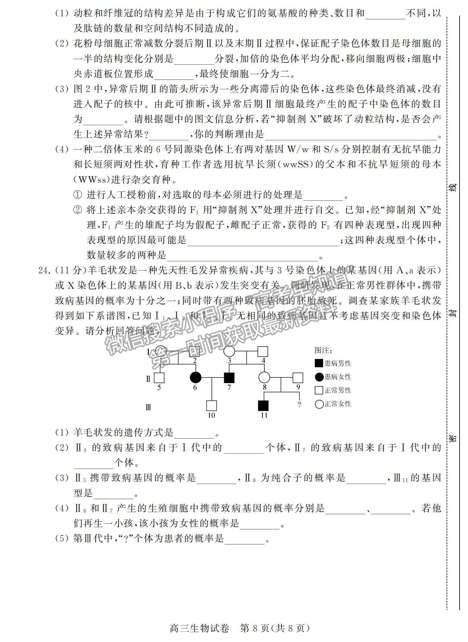 2022江蘇省鹽城市高三上學(xué)期期中調(diào)研考試生物試題及參考答案