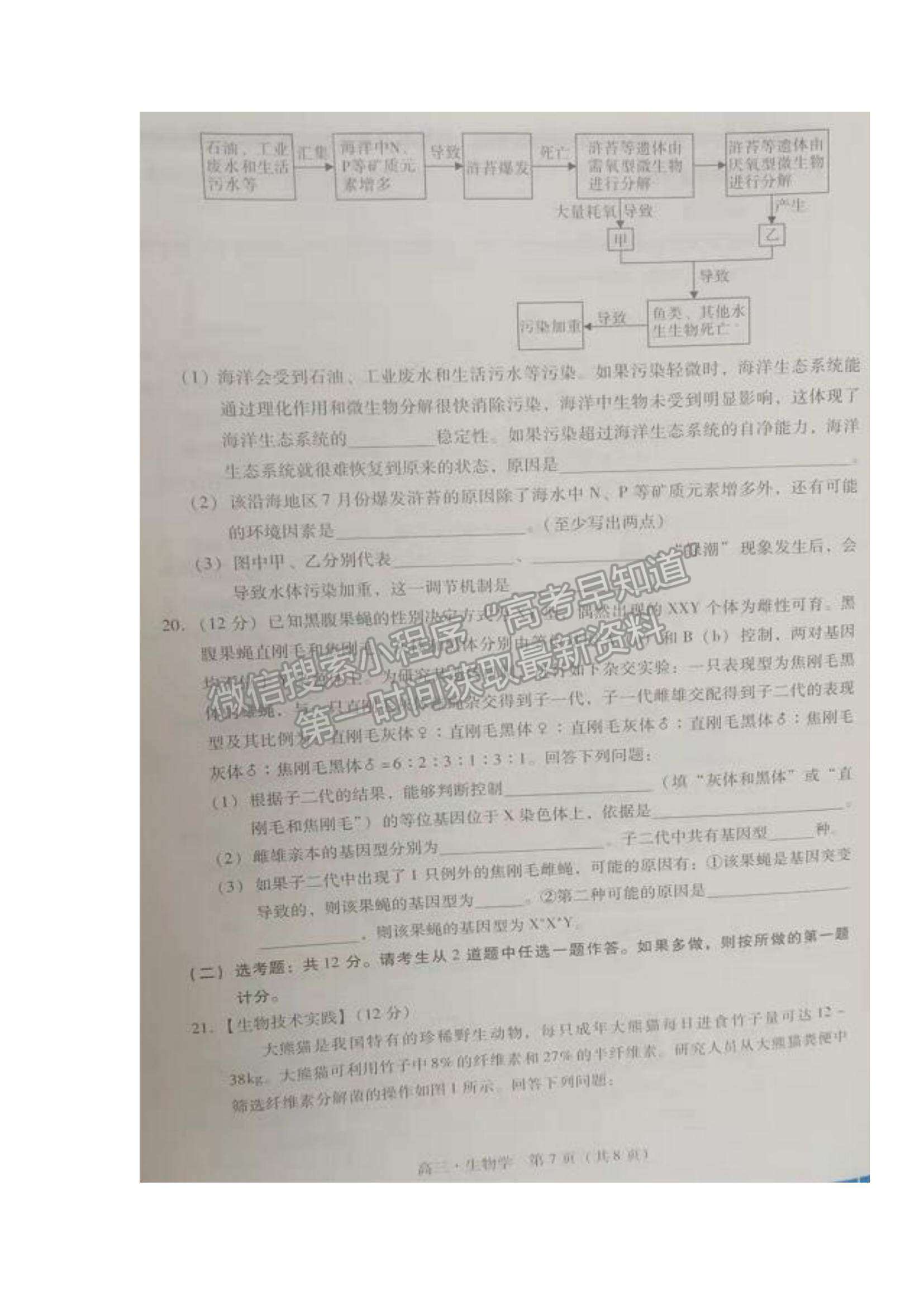 2022廣東省汕尾市高三期末統(tǒng)考生物試題及參考答案