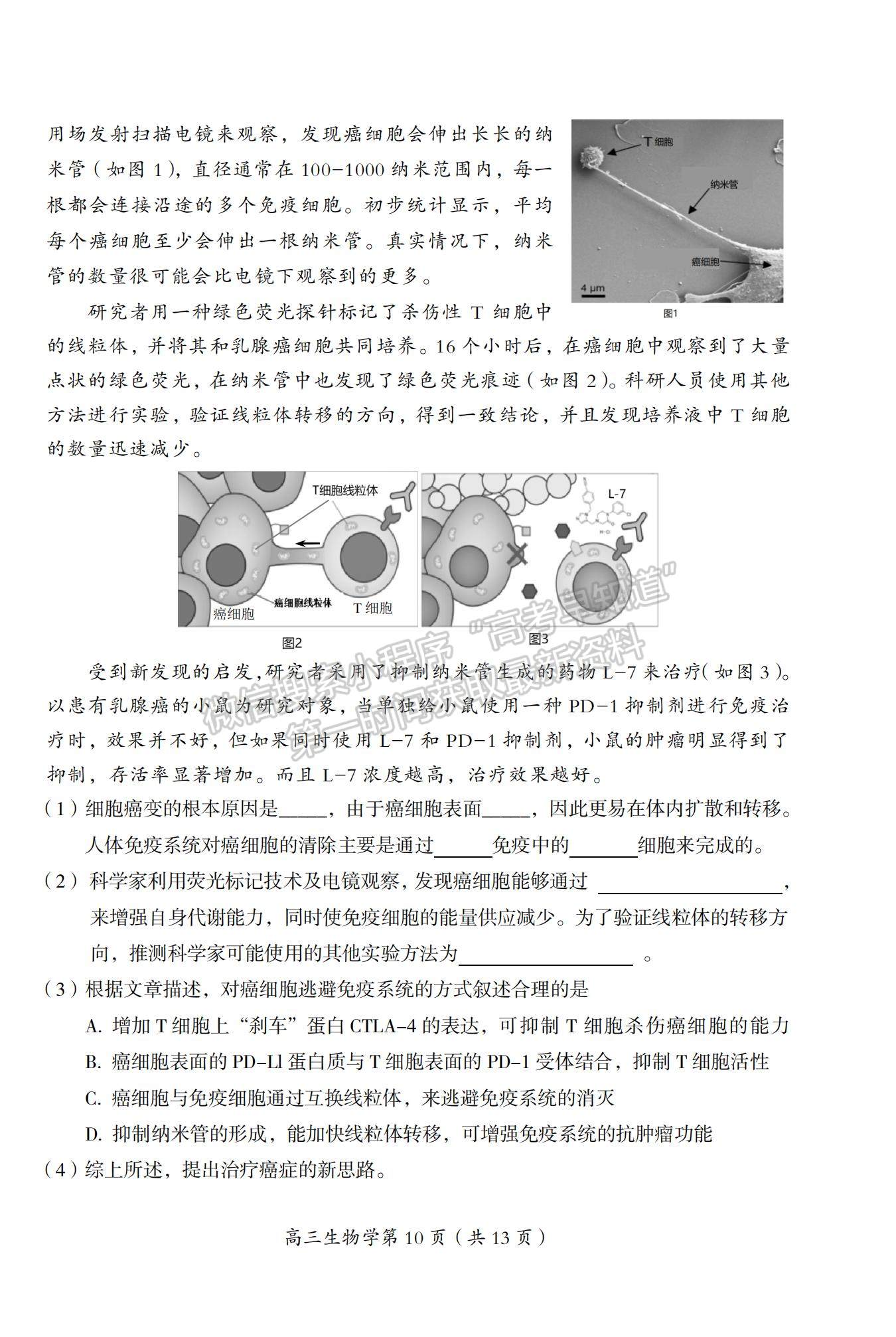 2022北京市房山區(qū)高三上學期期末考試生物試題及參考答案