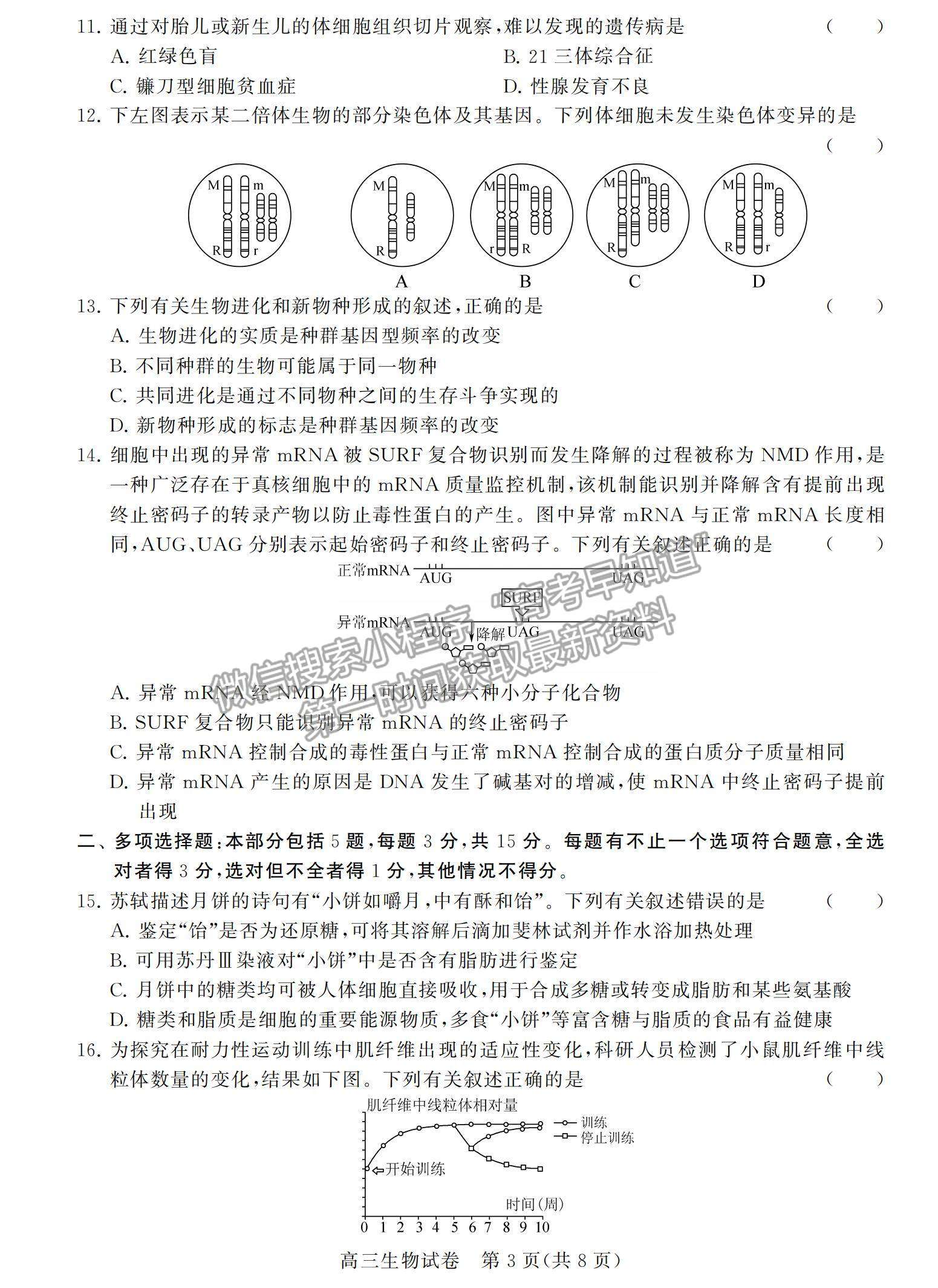 2022江蘇省鹽城市高三上學(xué)期期中調(diào)研考試生物試題及參考答案