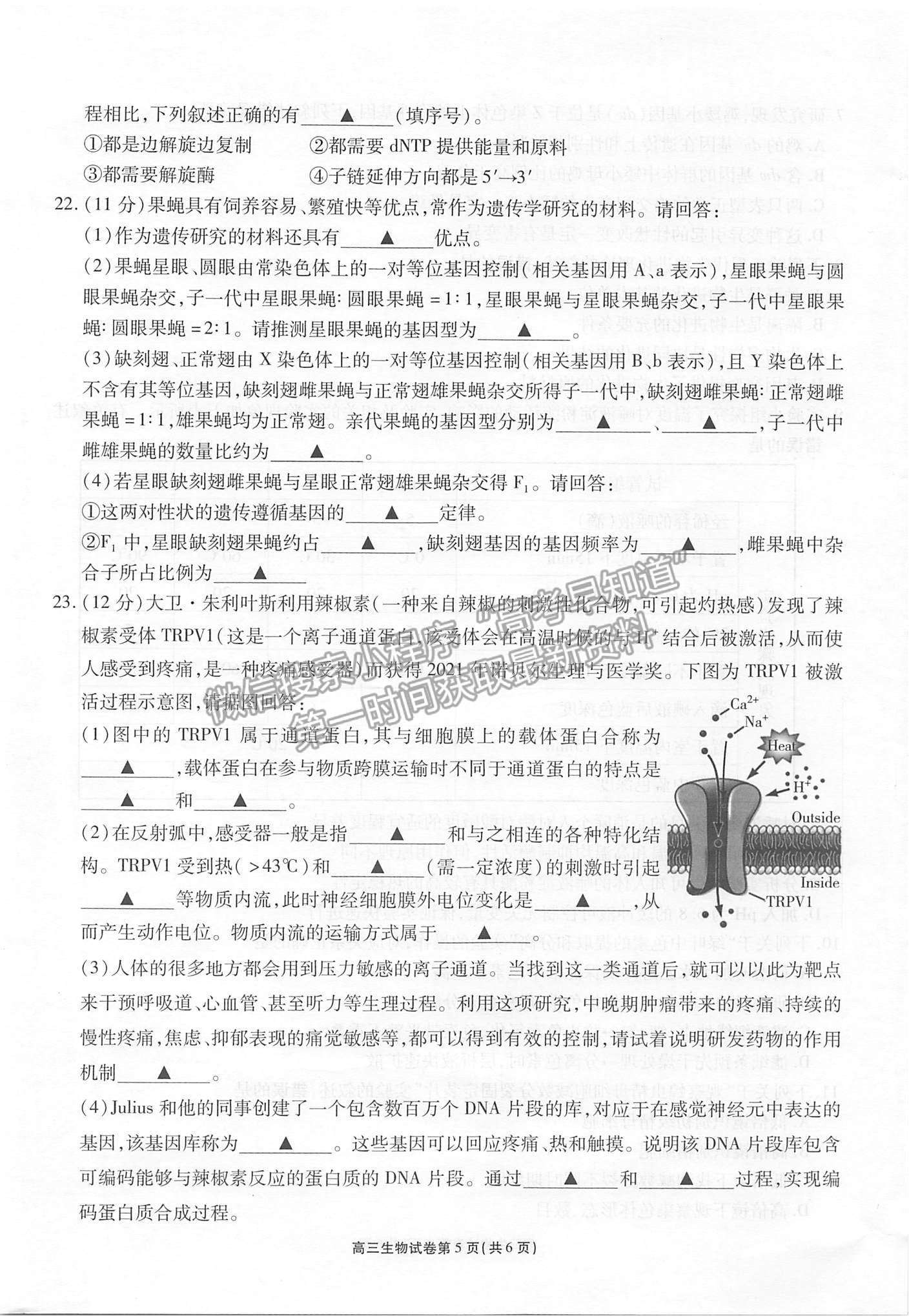 2022江蘇省無錫市高三上學(xué)期期中教學(xué)質(zhì)量調(diào)研測試生物試題及參考答案