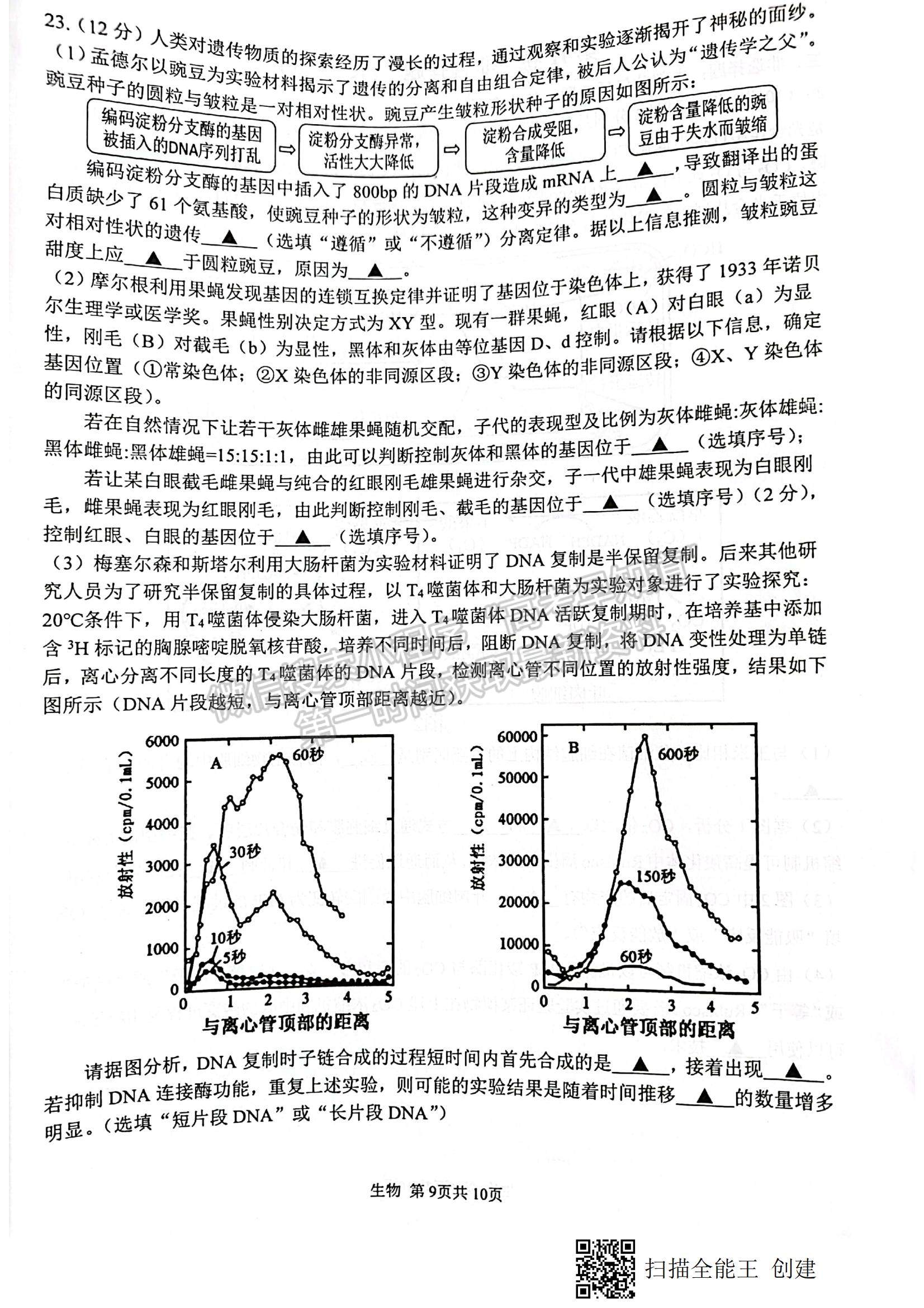 2022江蘇省徐州市高三上學期期中抽測生物試題及參考答案