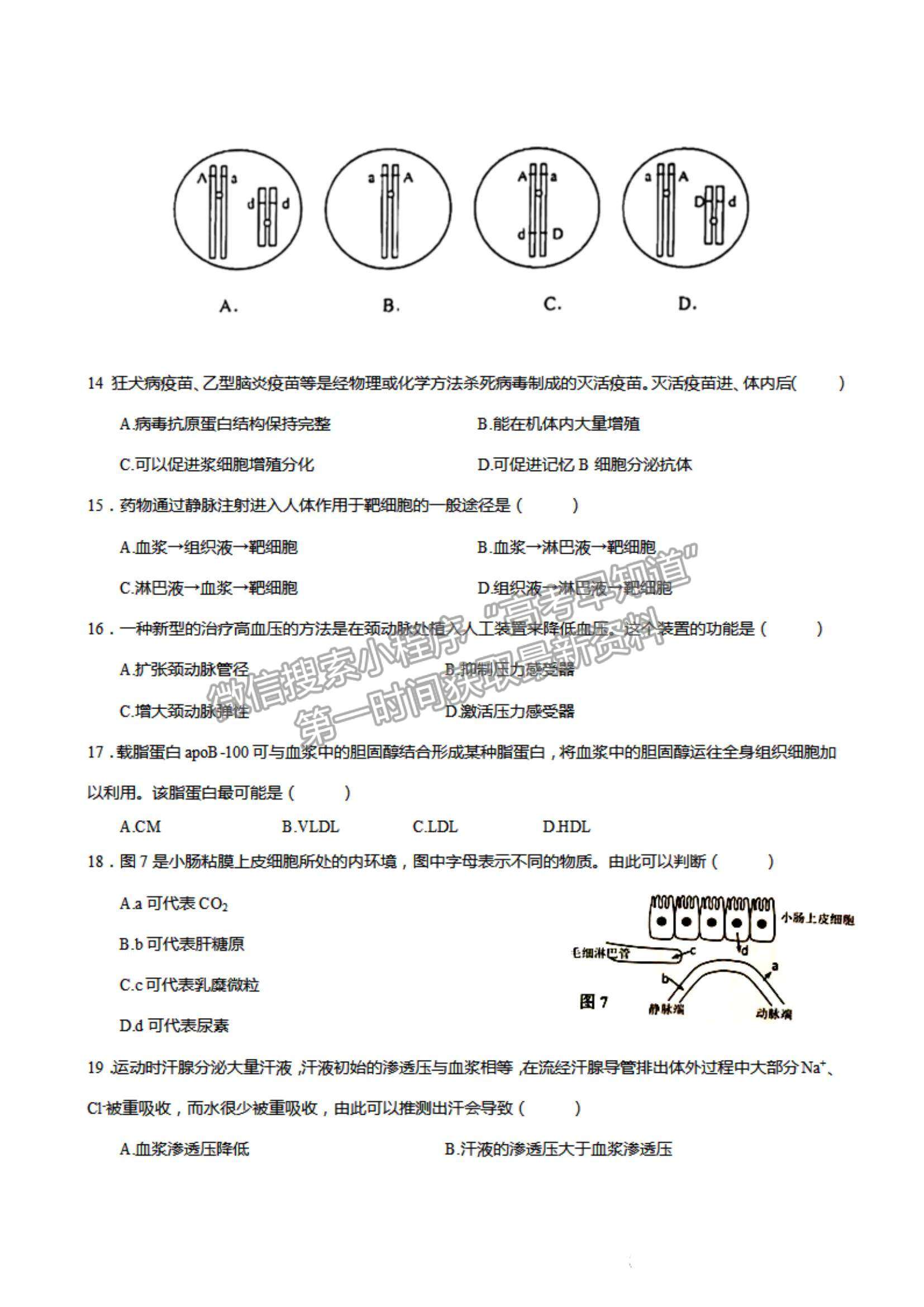 2022上海市虹口區(qū)高三上學(xué)期期終學(xué)生學(xué)習(xí)能力診斷測試（一模）生物試題及參考答案