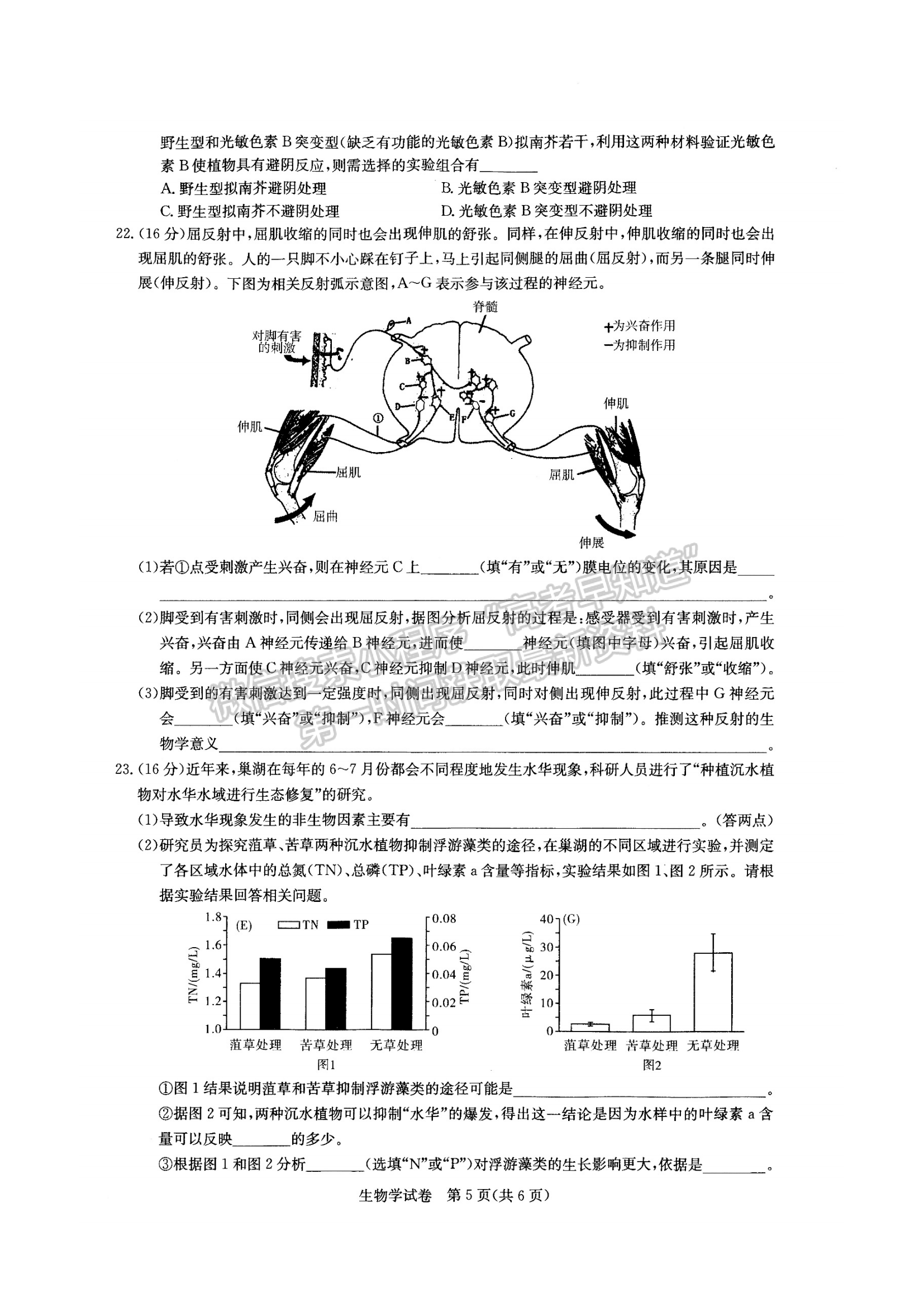 2022湖北部分重點中學高三第二次聯(lián)考生物試卷及答案