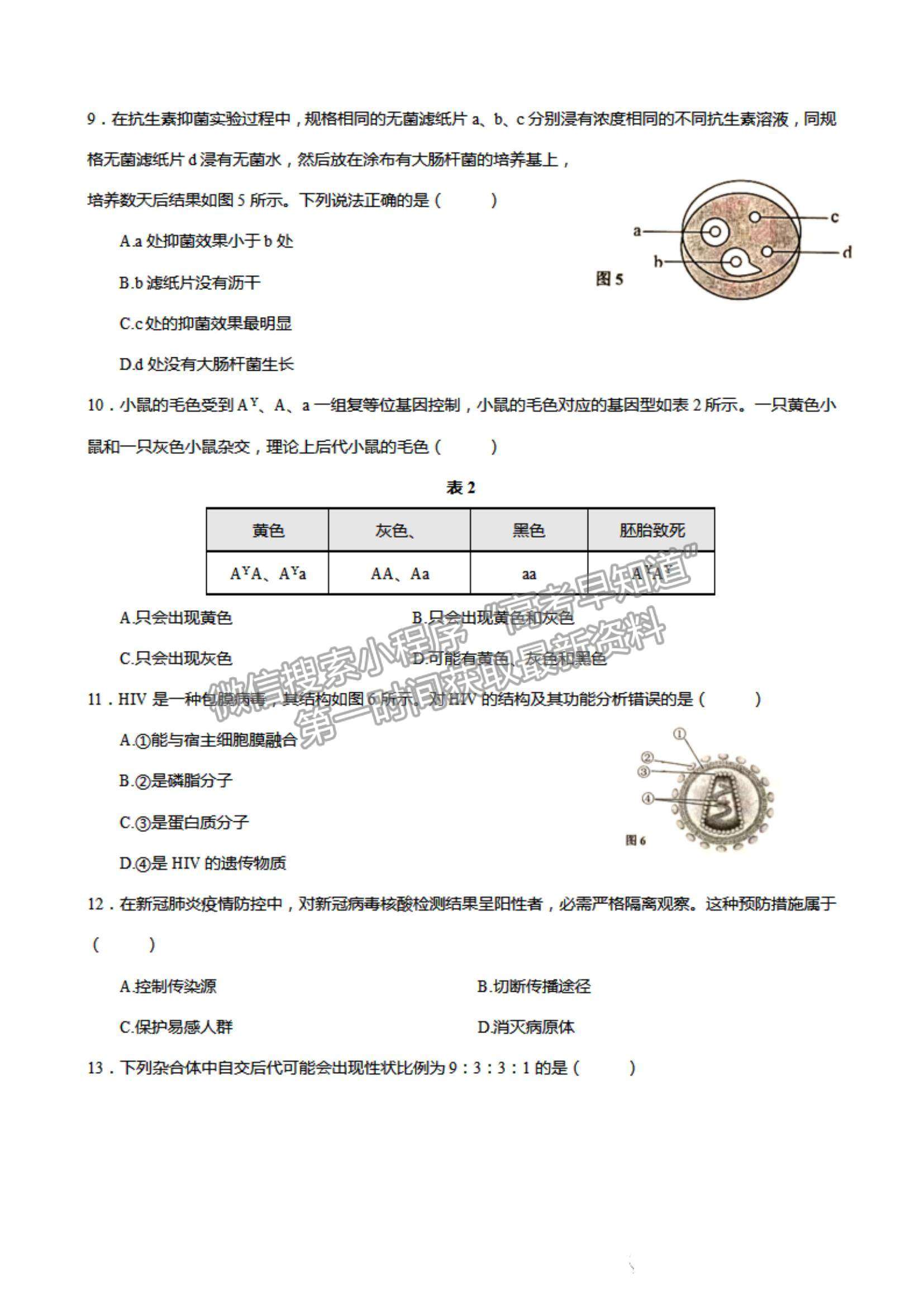 2022上海市虹口區(qū)高三上學期期終學生學習能力診斷測試（一模）生物試題及參考答案