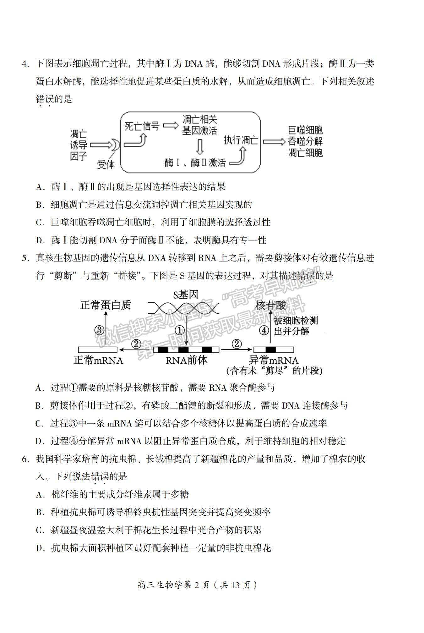 2022北京市房山區(qū)高三上學期期末考試生物試題及參考答案