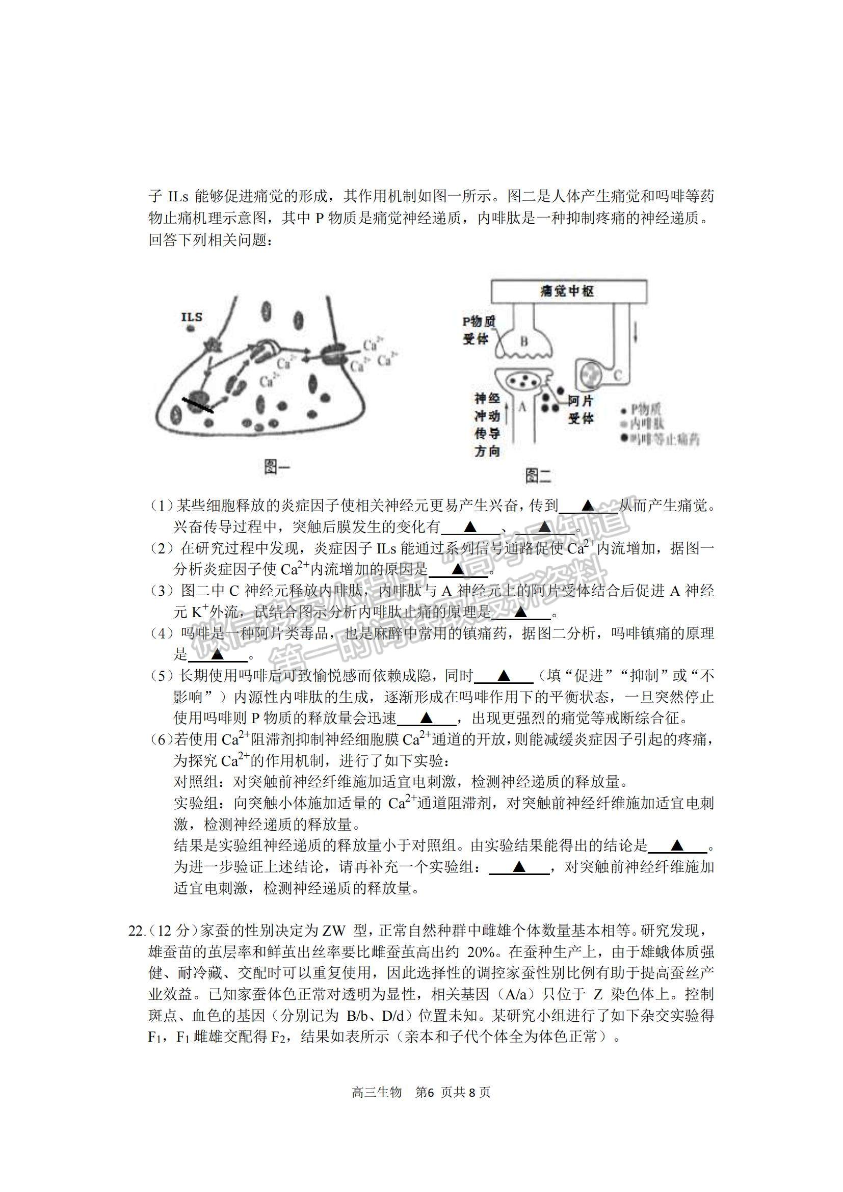 2022江蘇省新高考基地學校高三上學期期中大聯考生物試題及參考答案