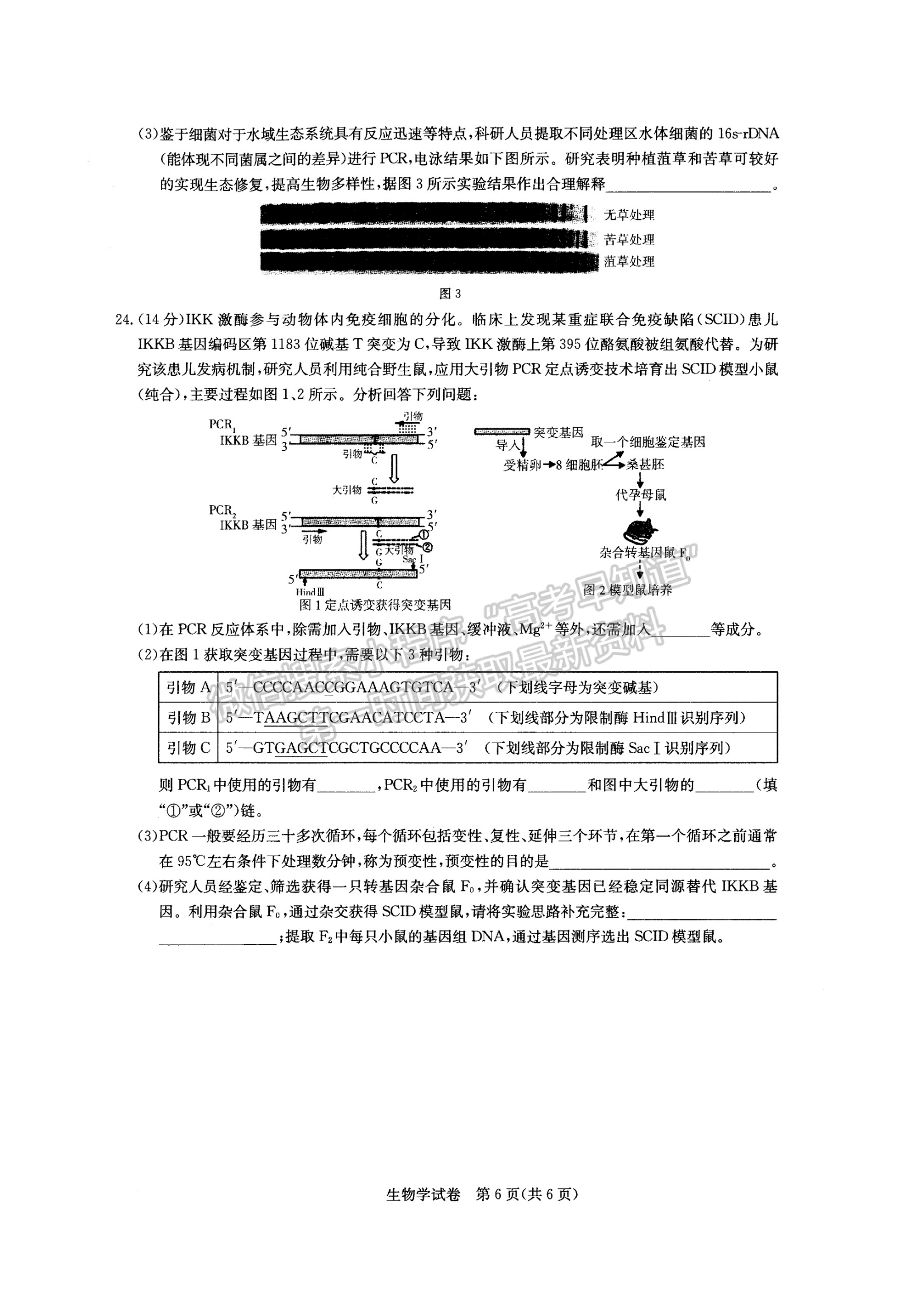 2022湖北部分重點(diǎn)中學(xué)高三第二次聯(lián)考生物試卷及答案