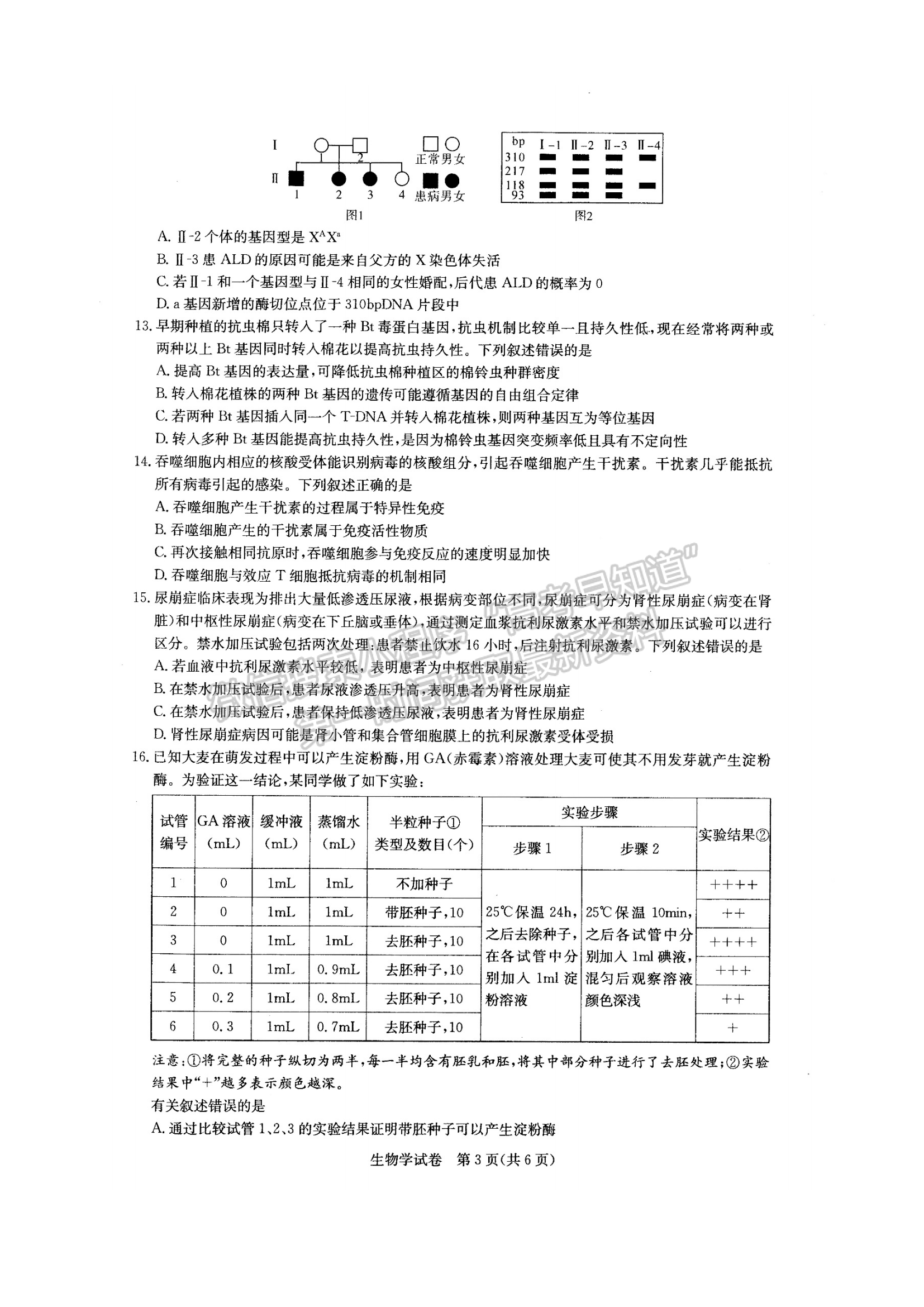 2022湖北部分重點(diǎn)中學(xué)高三第二次聯(lián)考生物試卷及答案