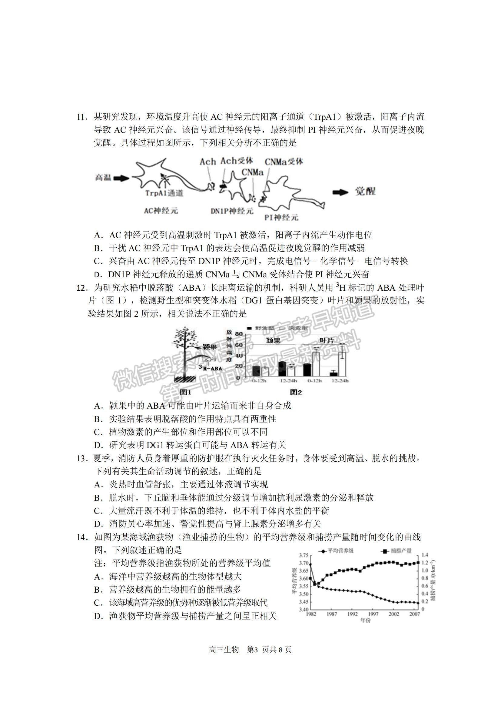 2022江蘇省新高考基地學(xué)校高三上學(xué)期期中大聯(lián)考生物試題及參考答案