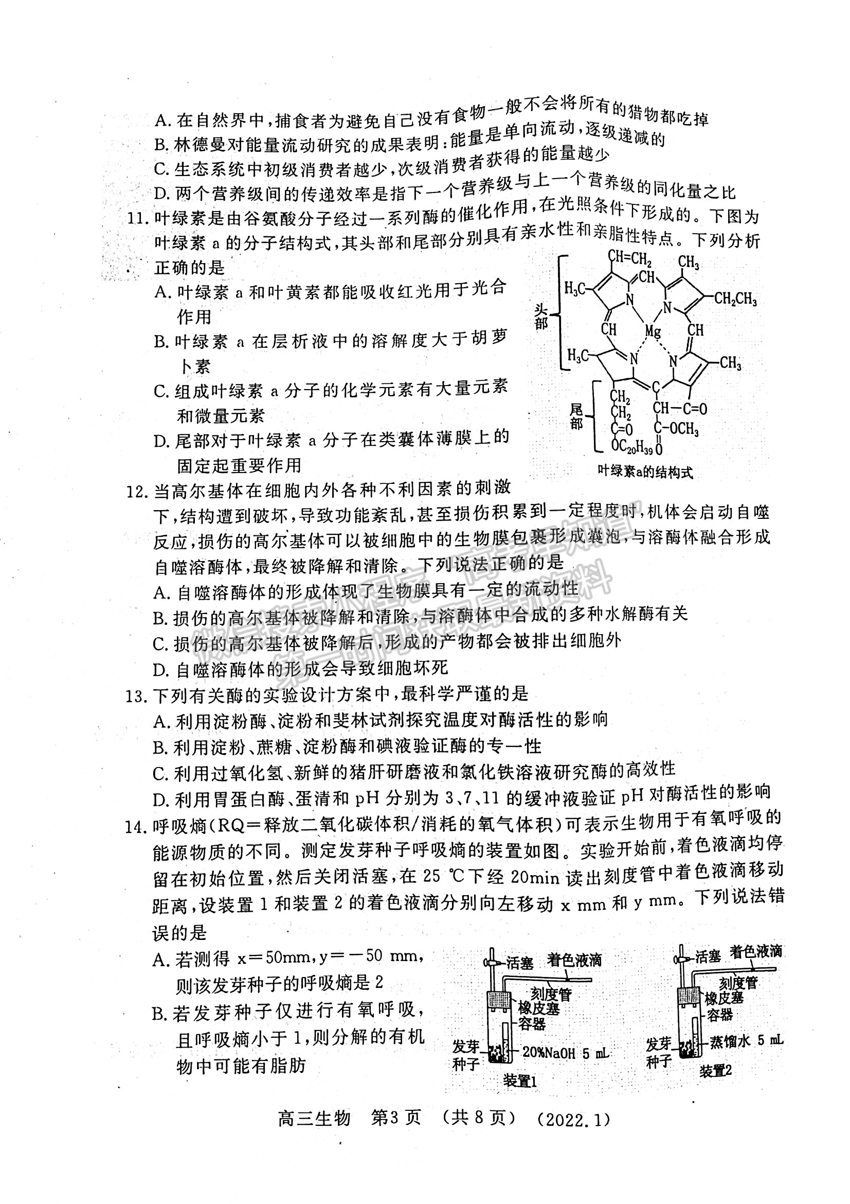 2022洛陽(yáng)高三一練生物試卷及參考答案