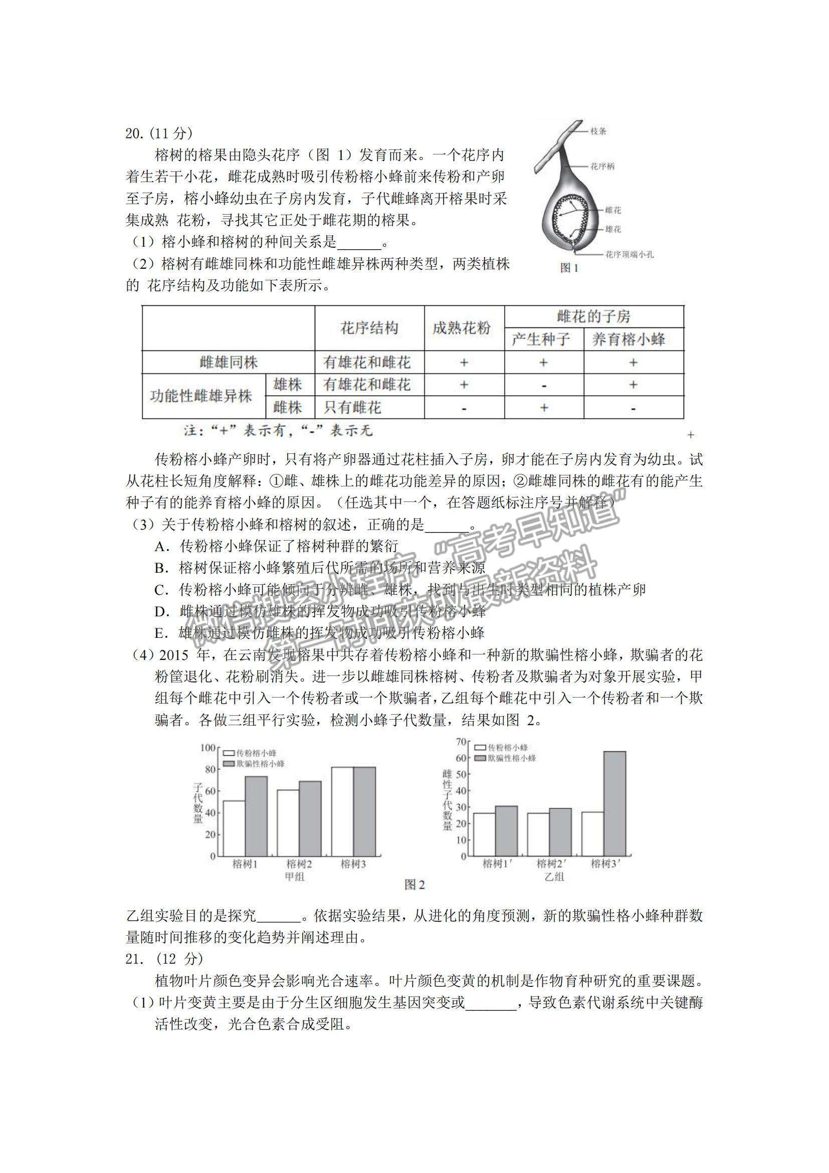 2022北京市西城区高三上学期期末考试生物试题及参考答案