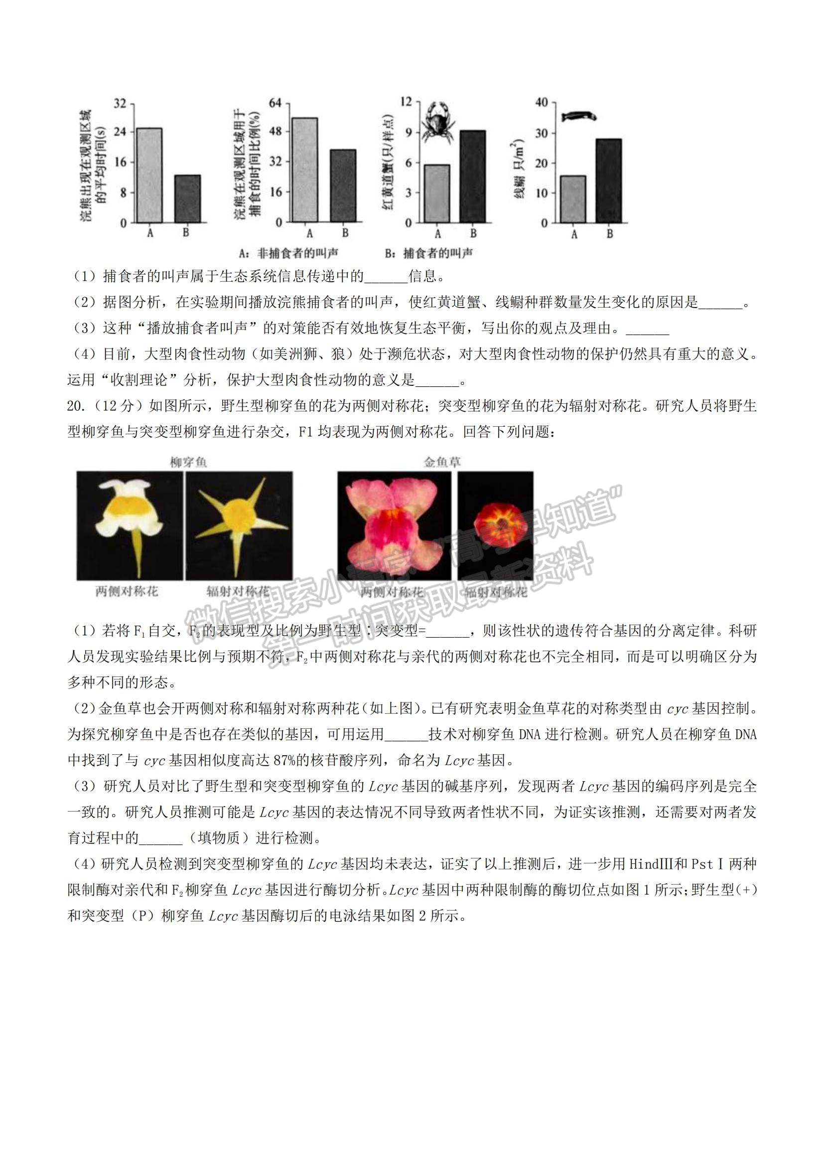 2022泉州市高三第二次質(zhì)檢生物試題及參考答案