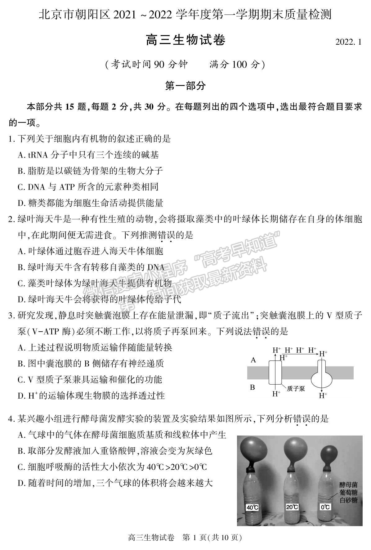 2022北京市朝陽區(qū)高三上學期期末質量檢測生物試題及參考答案