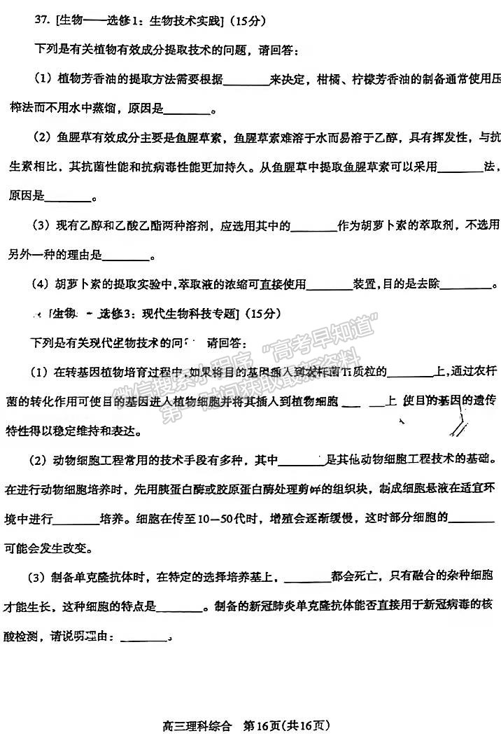 2022濟源平頂山許昌高三第一次質(zhì)量檢測理綜試卷及參考答案