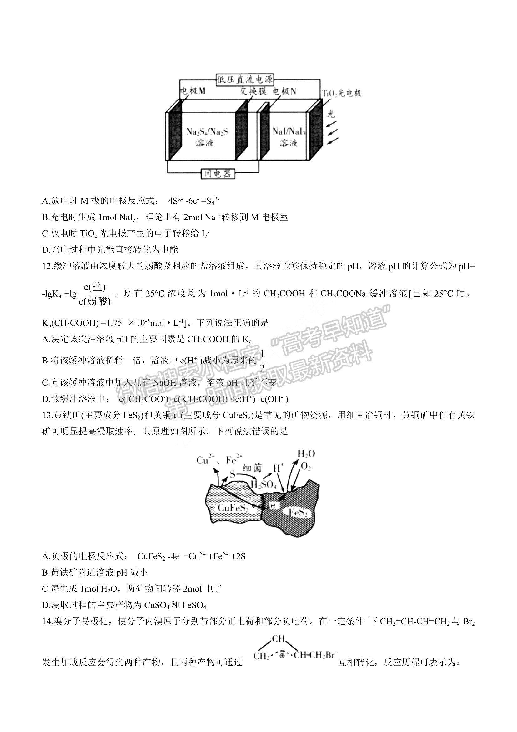 2022山東省濰坊市高三上學期期末考試 化學試題及參考答案