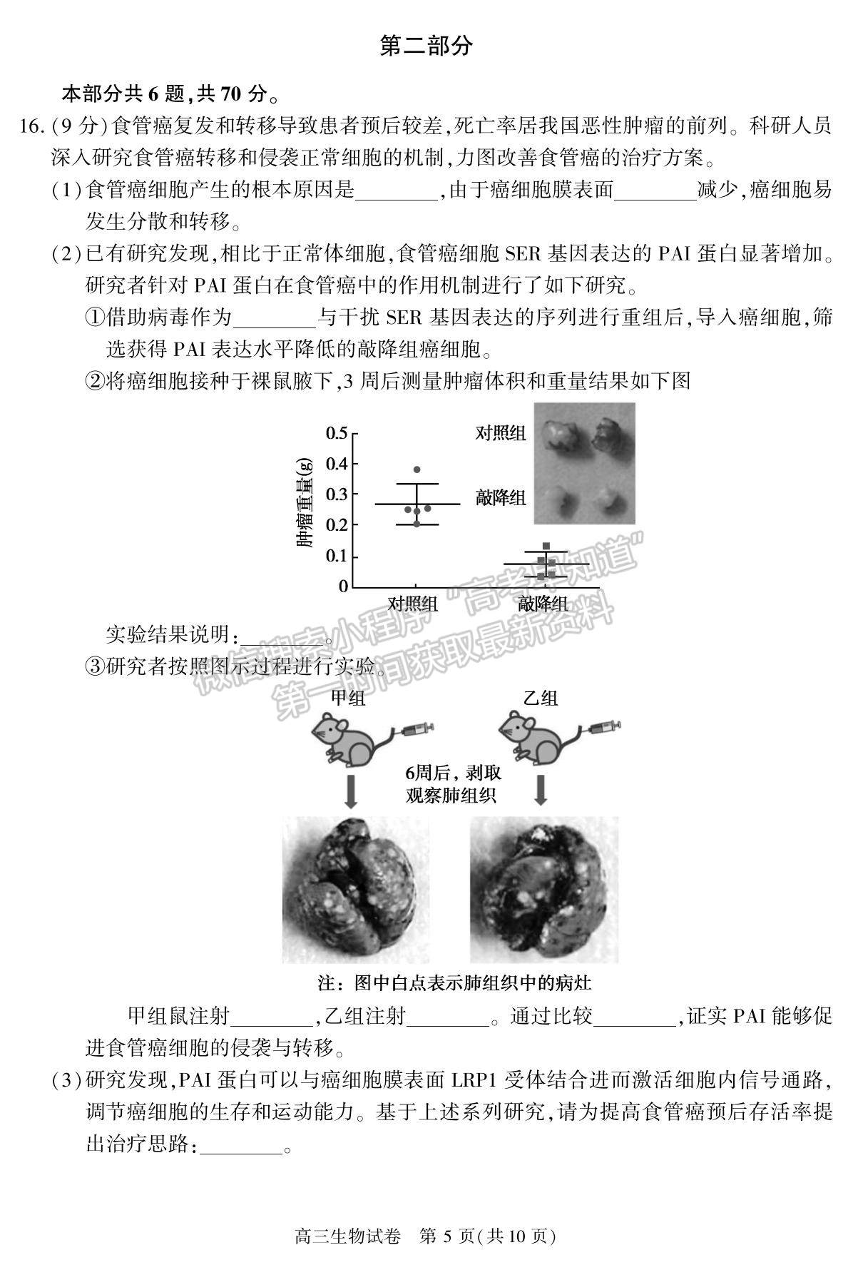 2022北京市朝陽(yáng)區(qū)高三上學(xué)期期末質(zhì)量檢測(cè)生物試題及參考答案