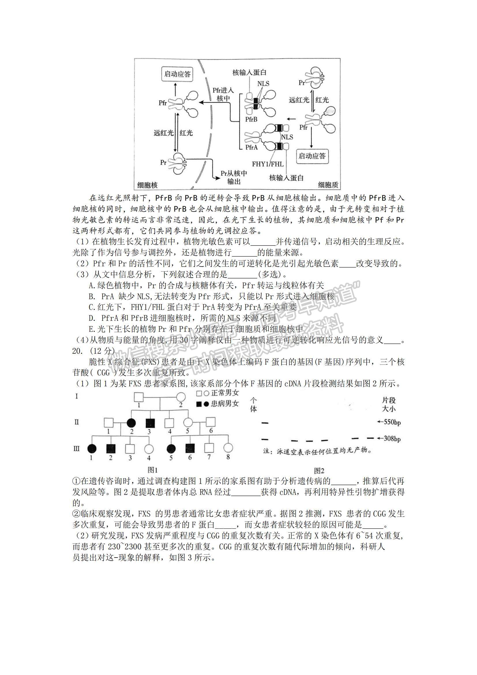 2022北京海淀區(qū)高三上學期期末考試生物試題及參考答案