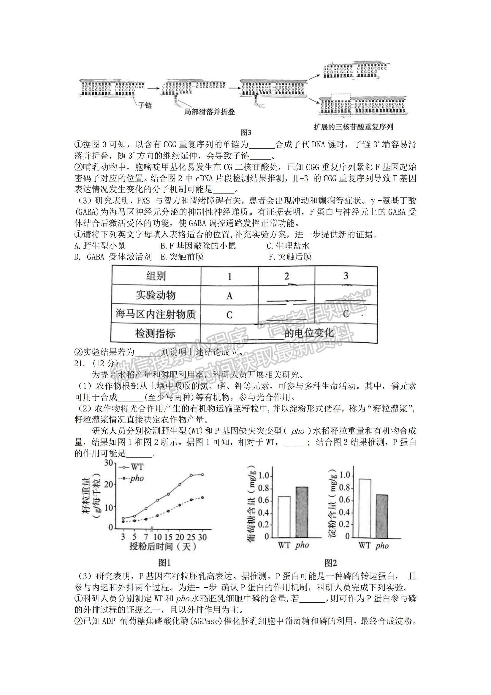 2022北京海淀區(qū)高三上學期期末考試生物試題及參考答案