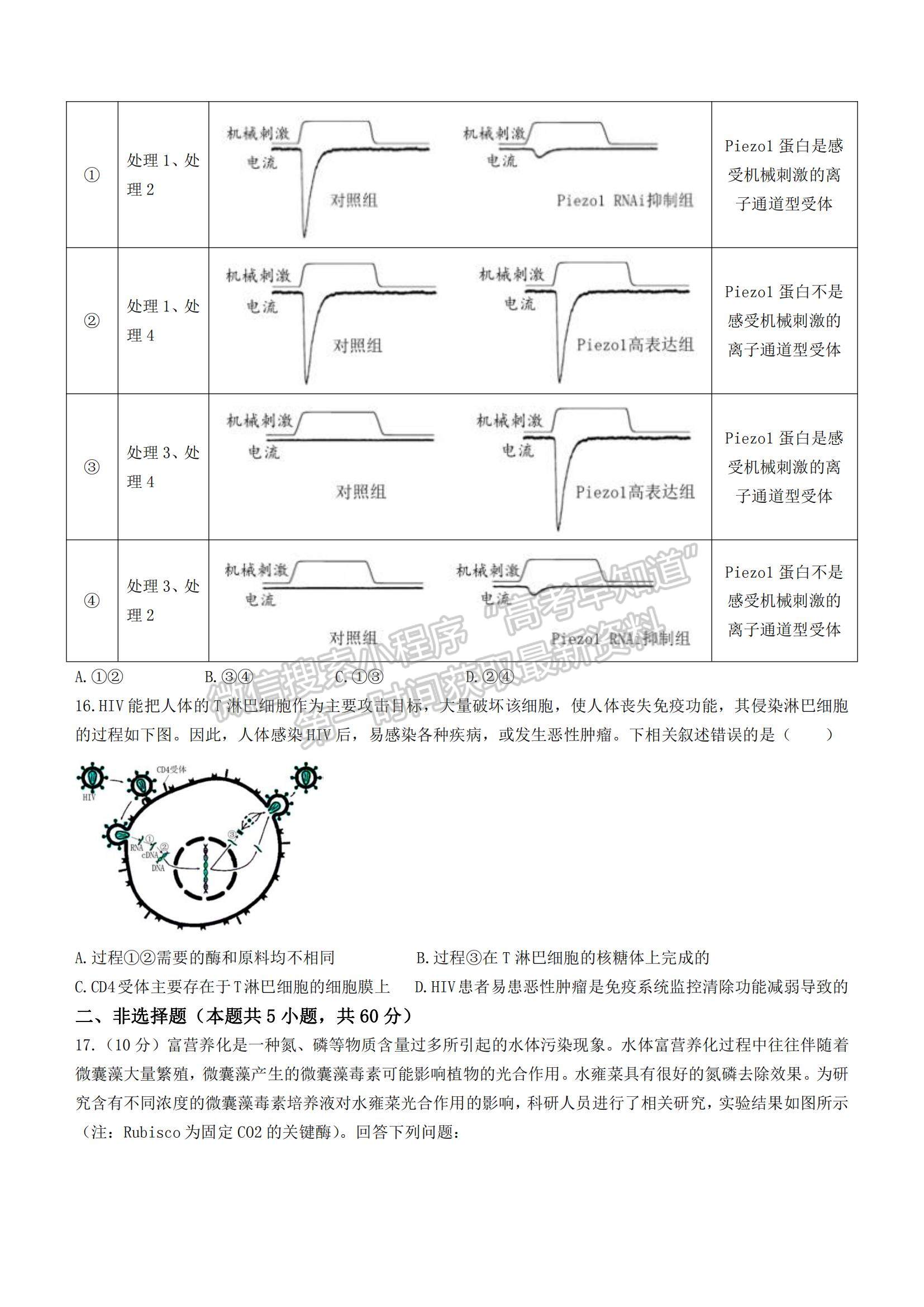 2022泉州市高三第二次質(zhì)檢生物試題及參考答案