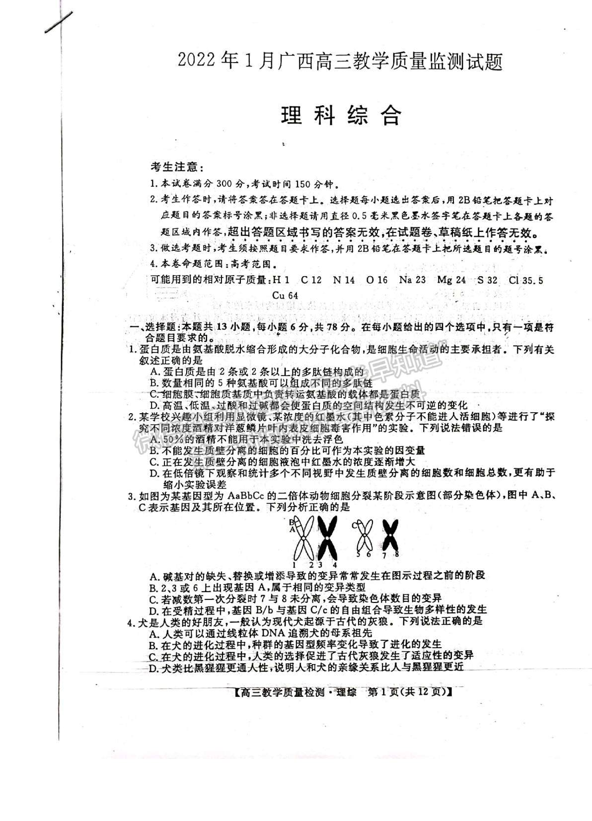 2022廣西高三1月質(zhì)檢考試?yán)砭C試題及參考答案