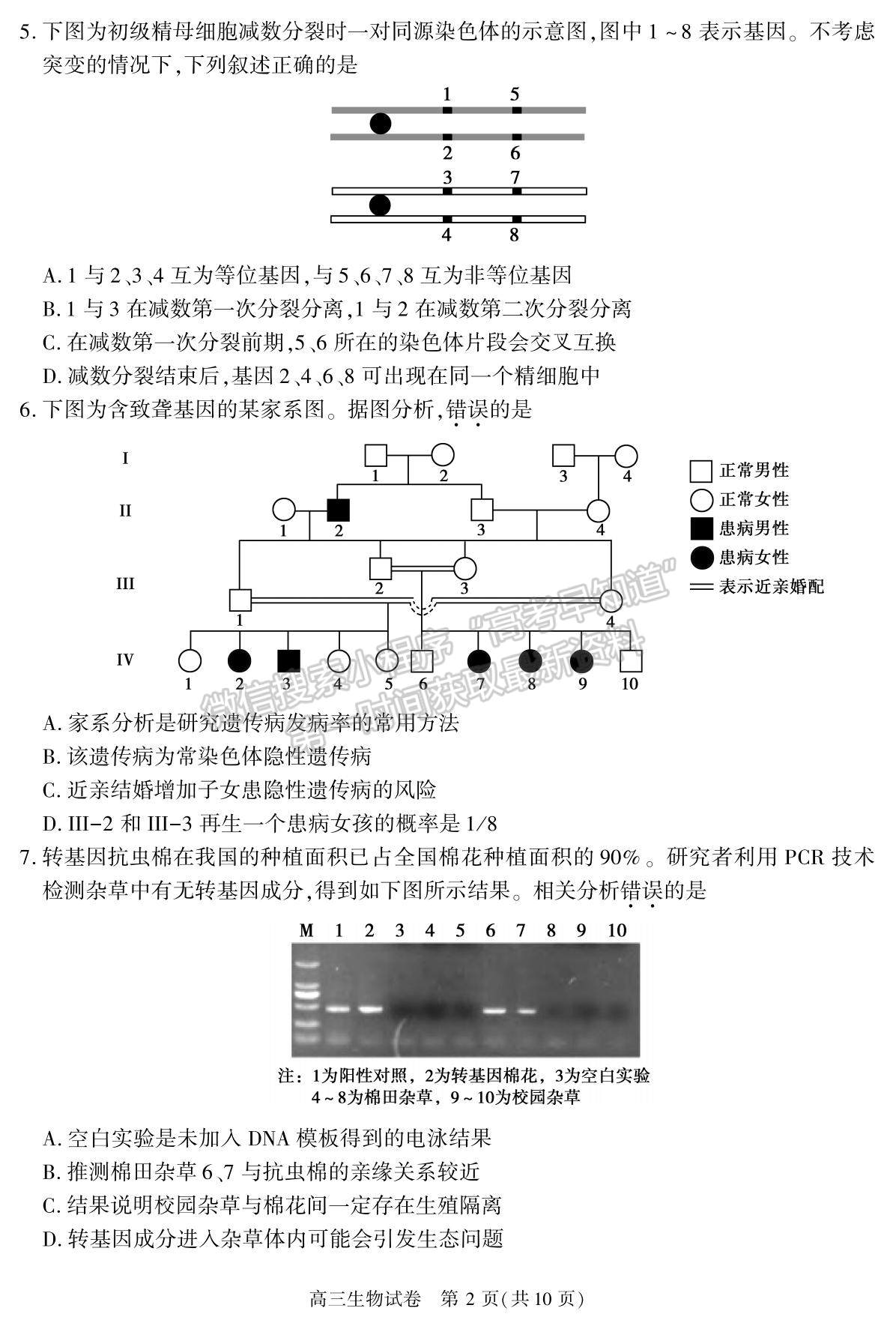 2022北京市朝陽(yáng)區(qū)高三上學(xué)期期末質(zhì)量檢測(cè)生物試題及參考答案