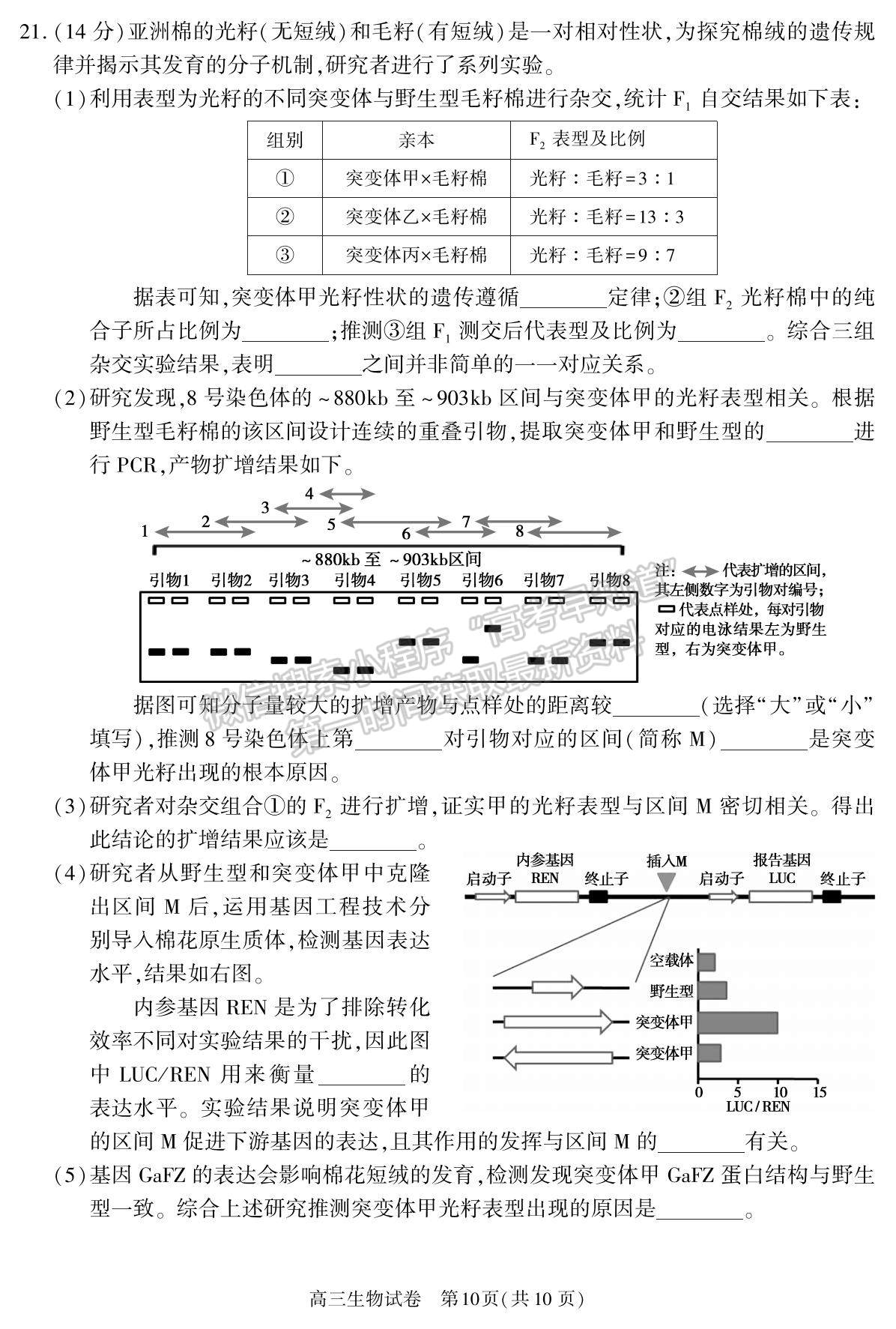 2022北京市朝陽區(qū)高三上學(xué)期期末質(zhì)量檢測生物試題及參考答案