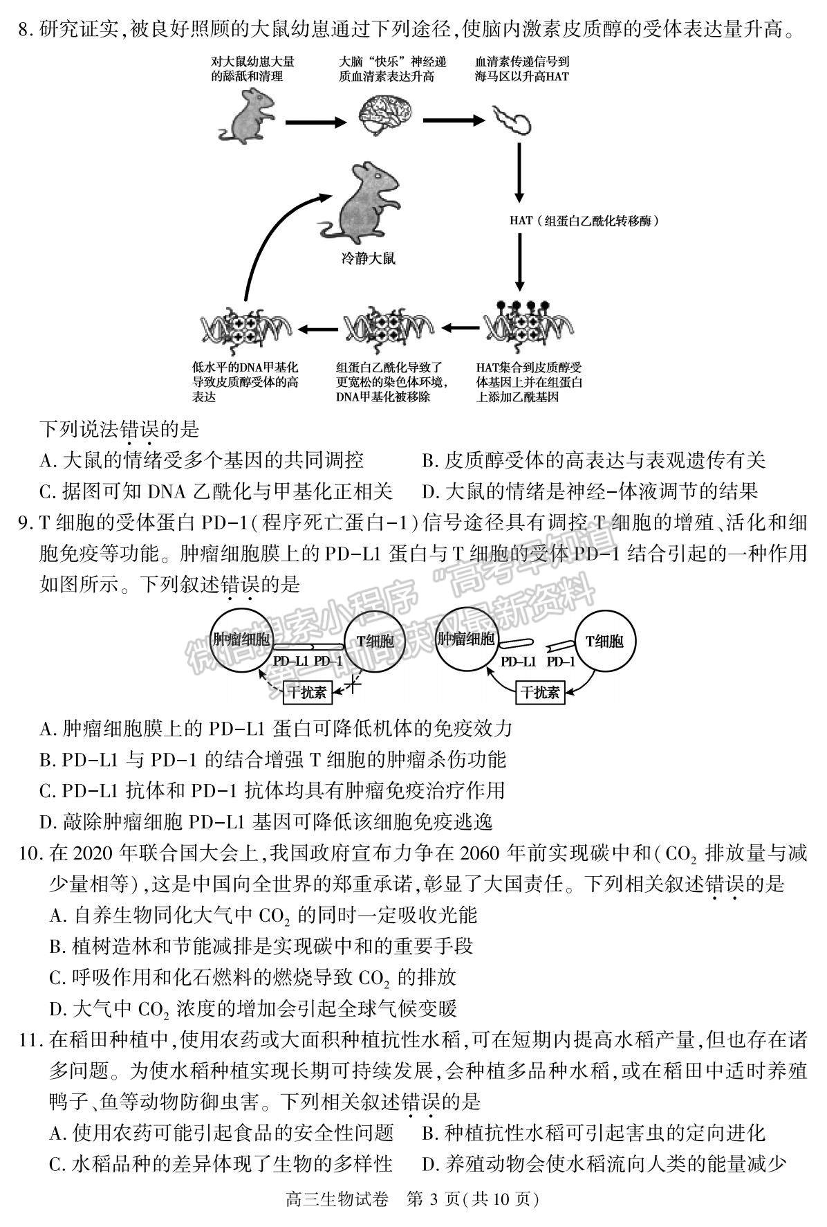 2022北京市朝陽(yáng)區(qū)高三上學(xué)期期末質(zhì)量檢測(cè)生物試題及參考答案