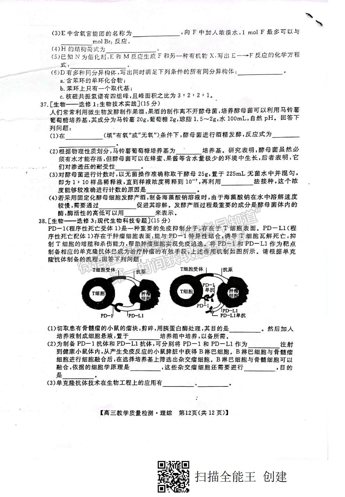 2022廣西高三1月質檢考試理綜試題及參考答案