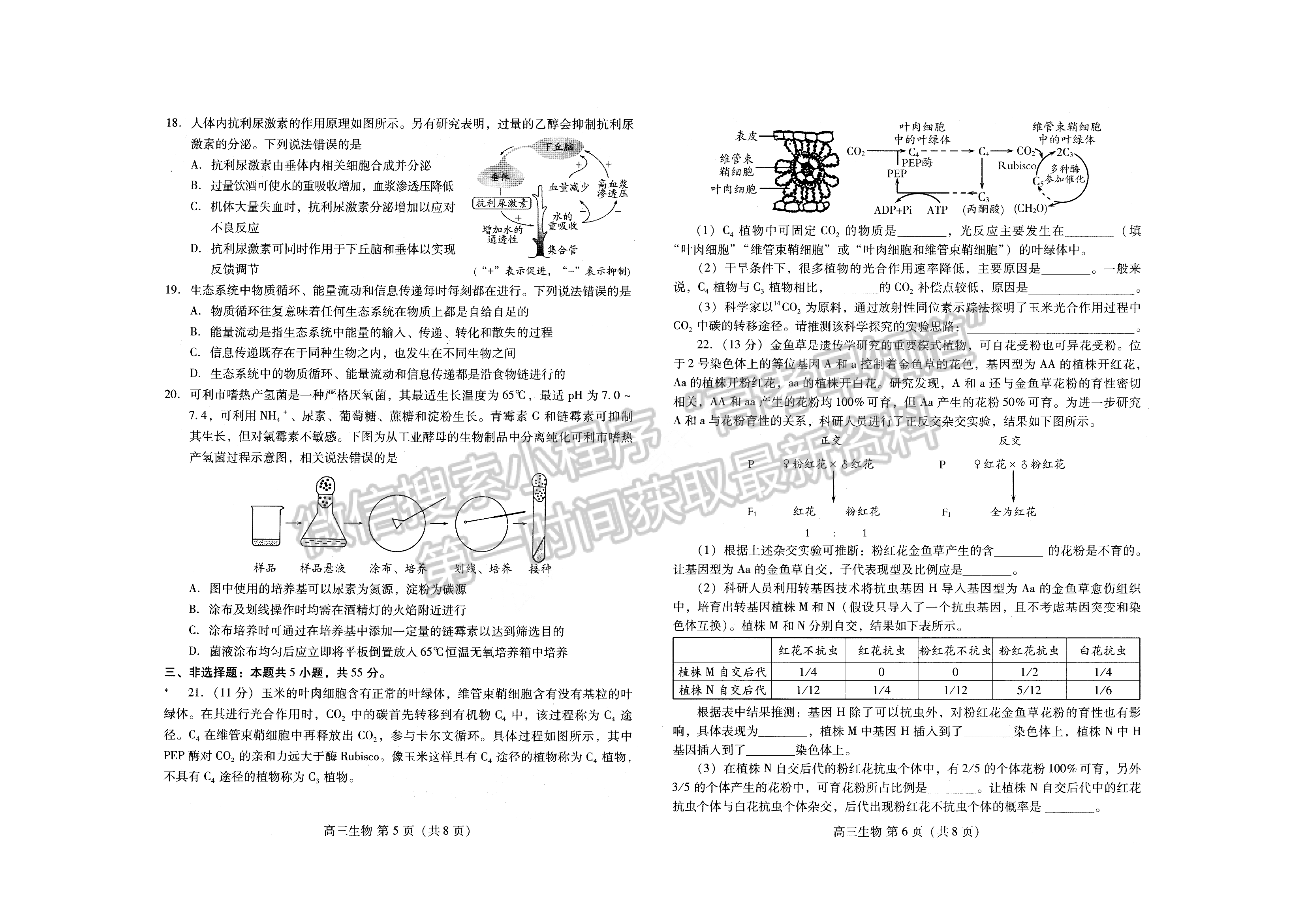 2022山東省濰坊市高三上學期期末考試 生物試題及參考答案