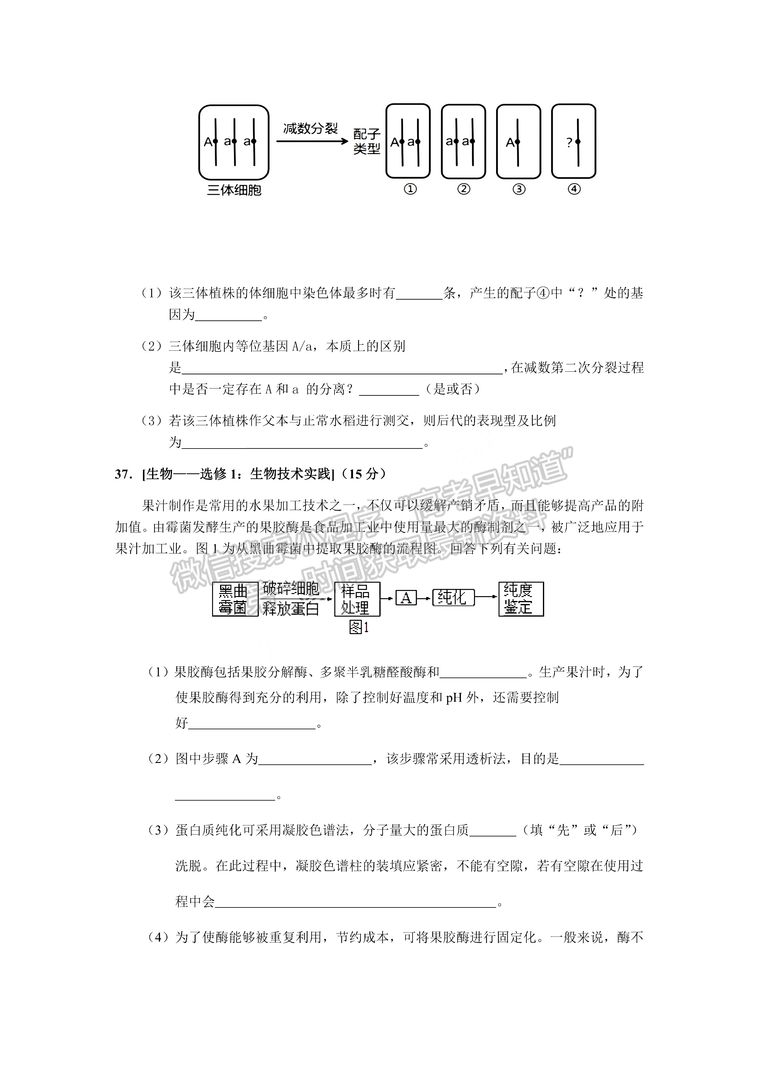 2022黃山一模理綜試卷及答案