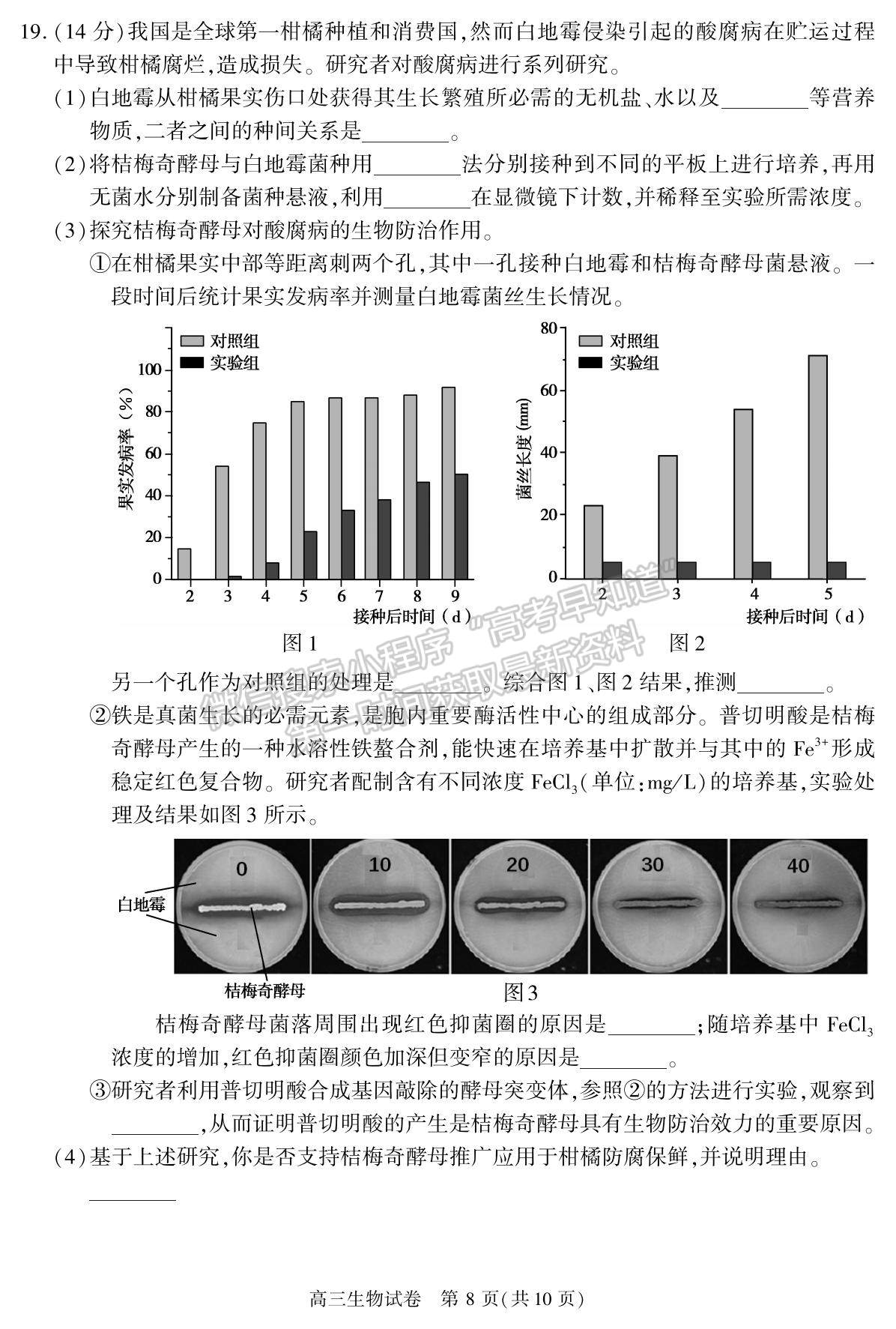 2022北京市朝陽區(qū)高三上學期期末質量檢測生物試題及參考答案