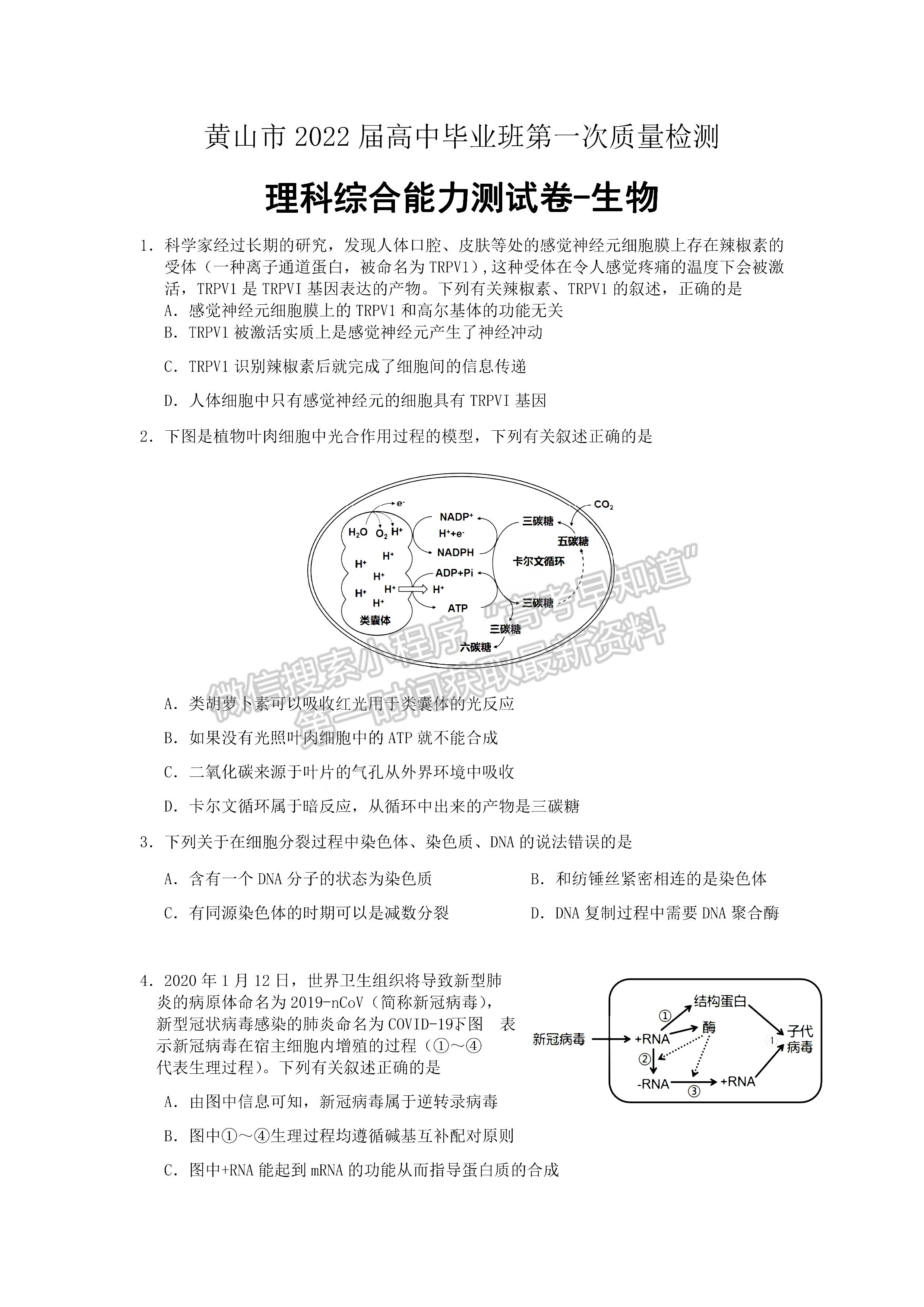 2022黃山一模理綜試卷及答案