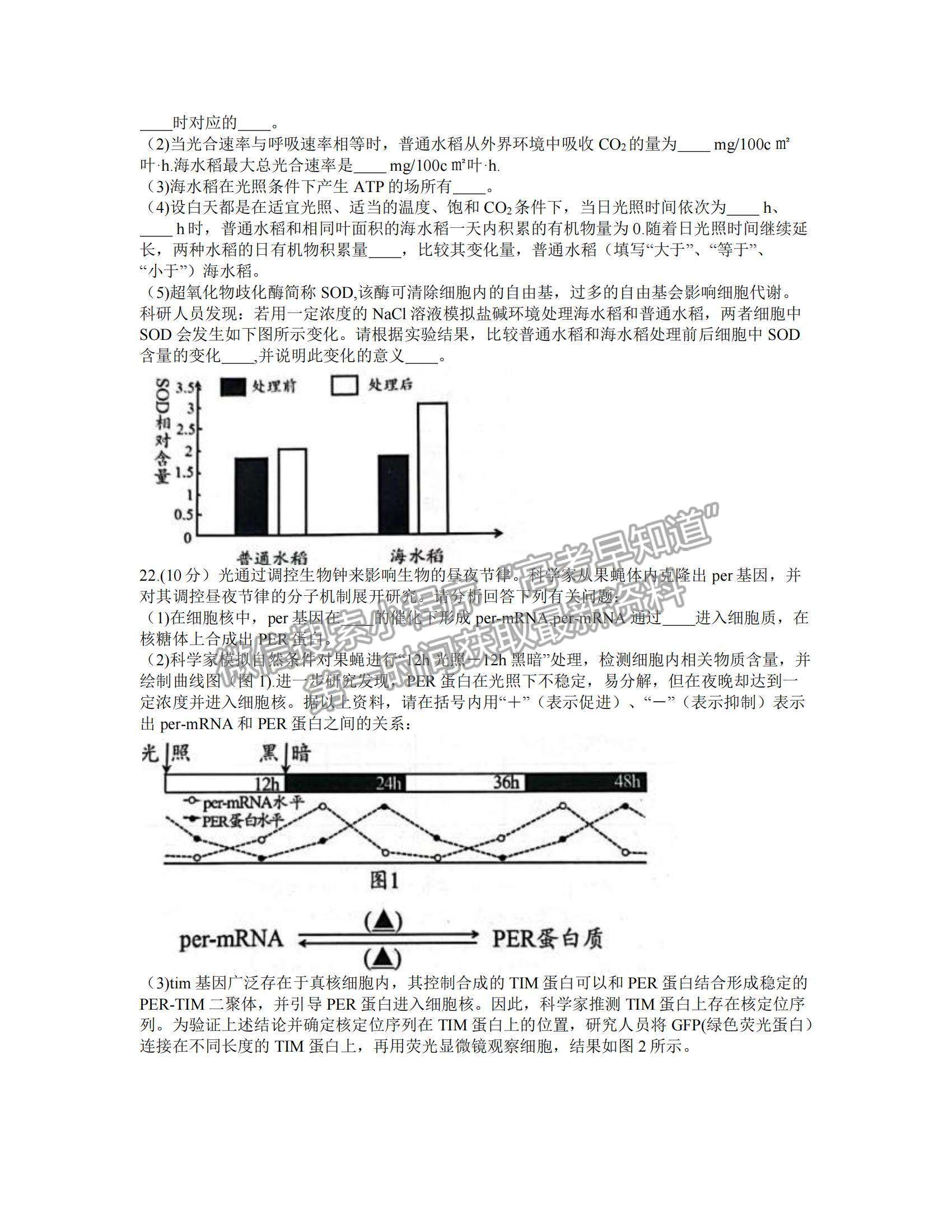 2022江蘇省揚(yáng)州市高三上學(xué)期期中考試生物試題及參考答案