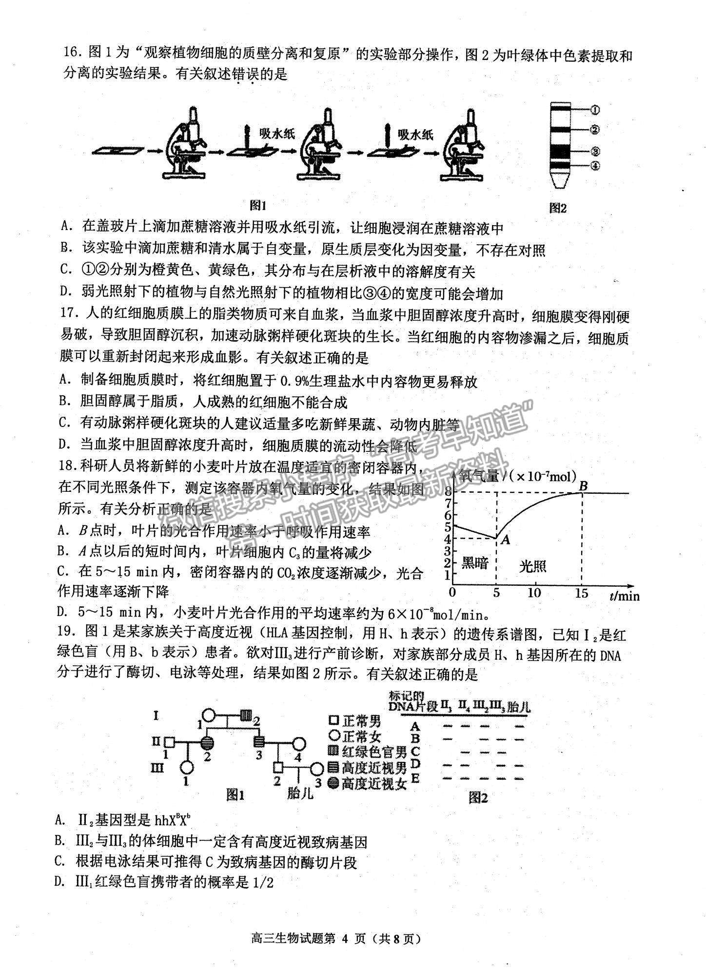 2022江蘇省連云港市高三上學(xué)期期中調(diào)研考試生物試題及參考答案