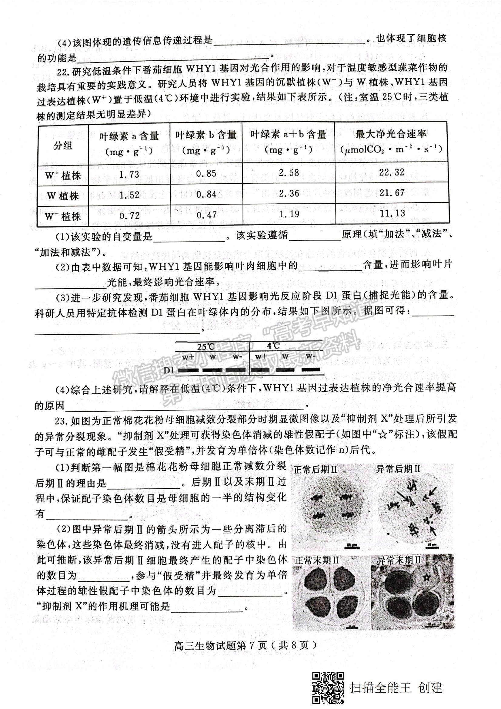 2022山東省聊城市高三上學(xué)期期中考試生物試題及參考答案