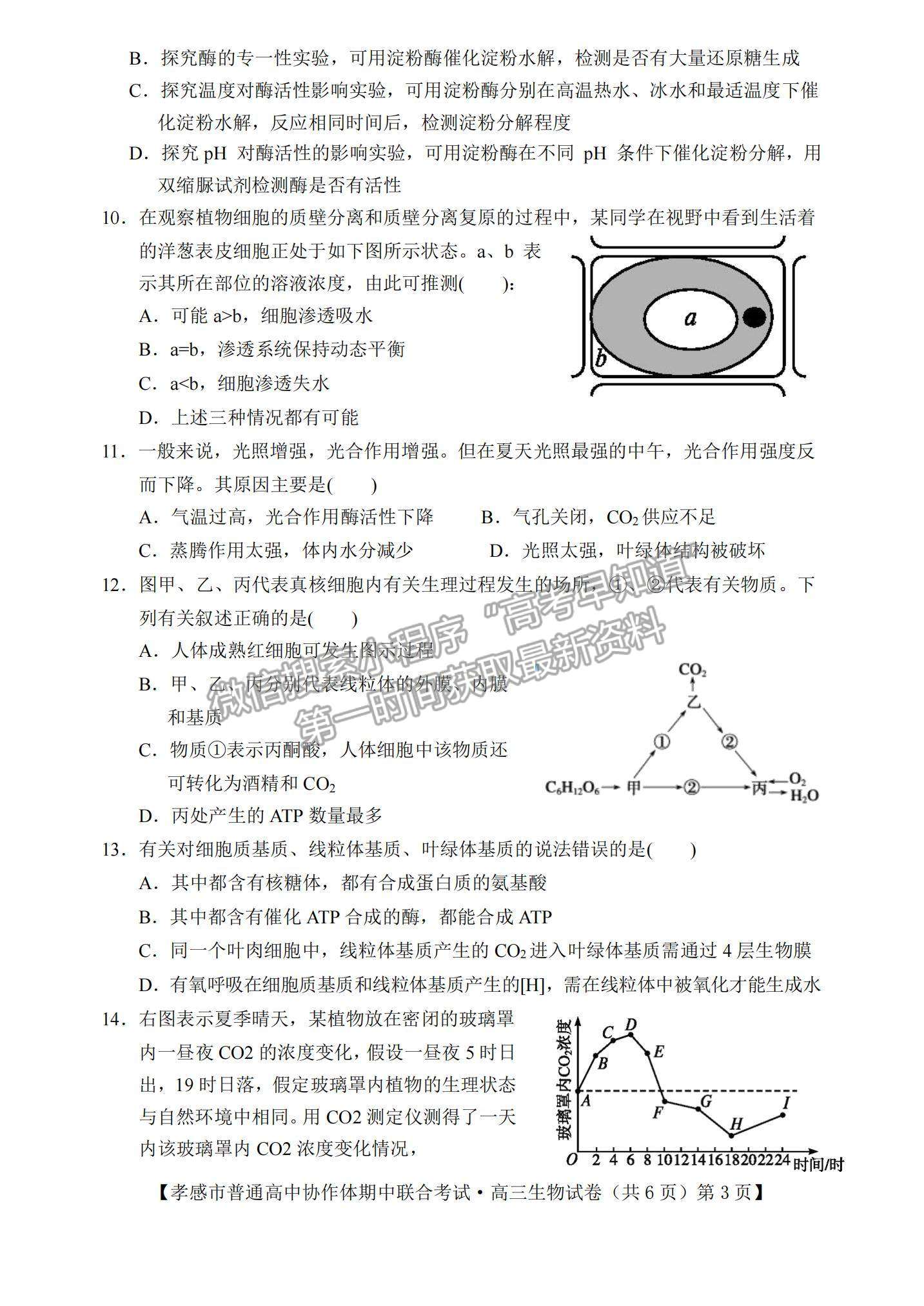 2022湖北省孝感市高中協(xié)作體高三上學(xué)期期中聯(lián)考生物試題及參考答案