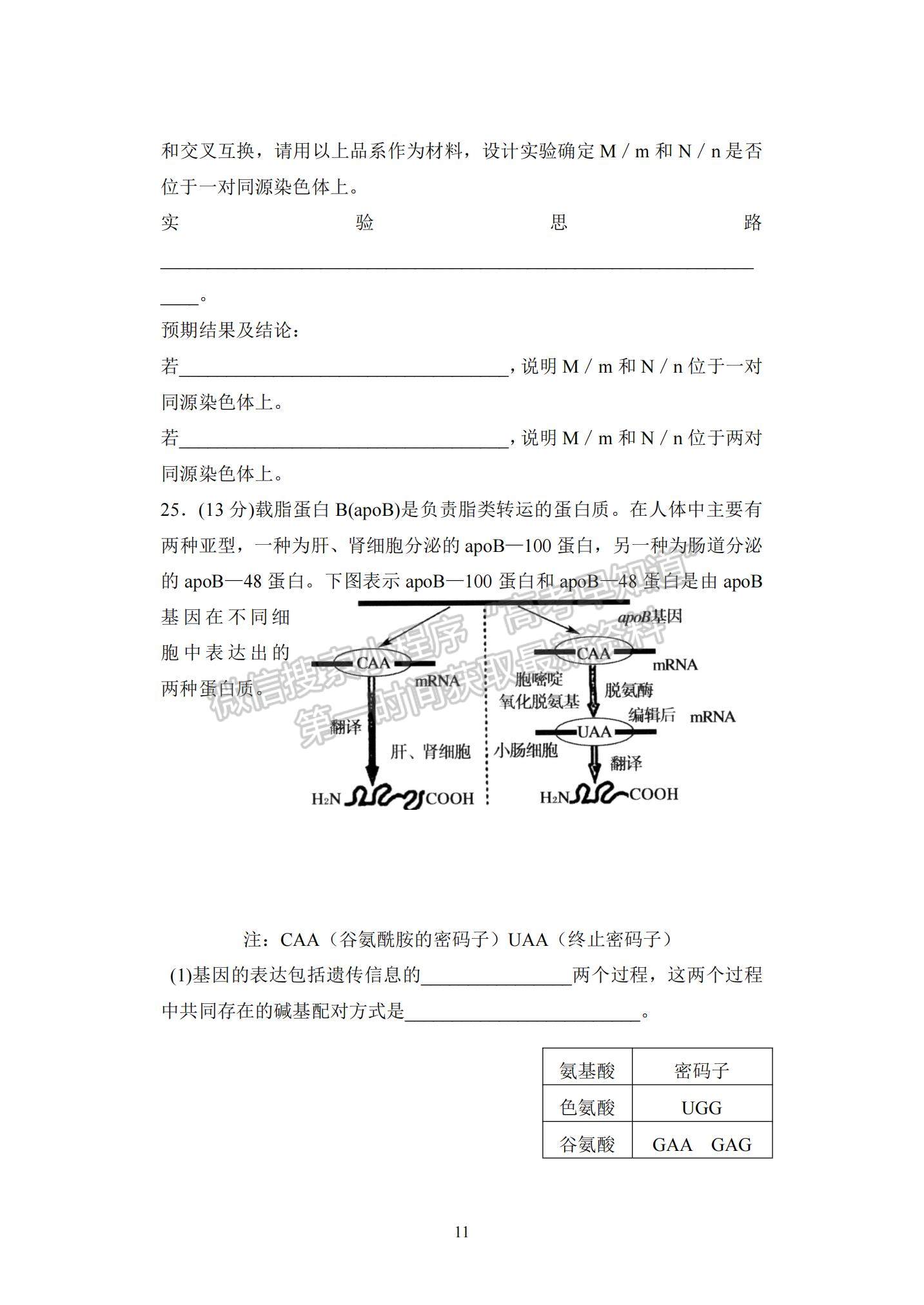 山東省泰安市2021-2022學(xué)年高三上學(xué)期期中考試生物試題及答案