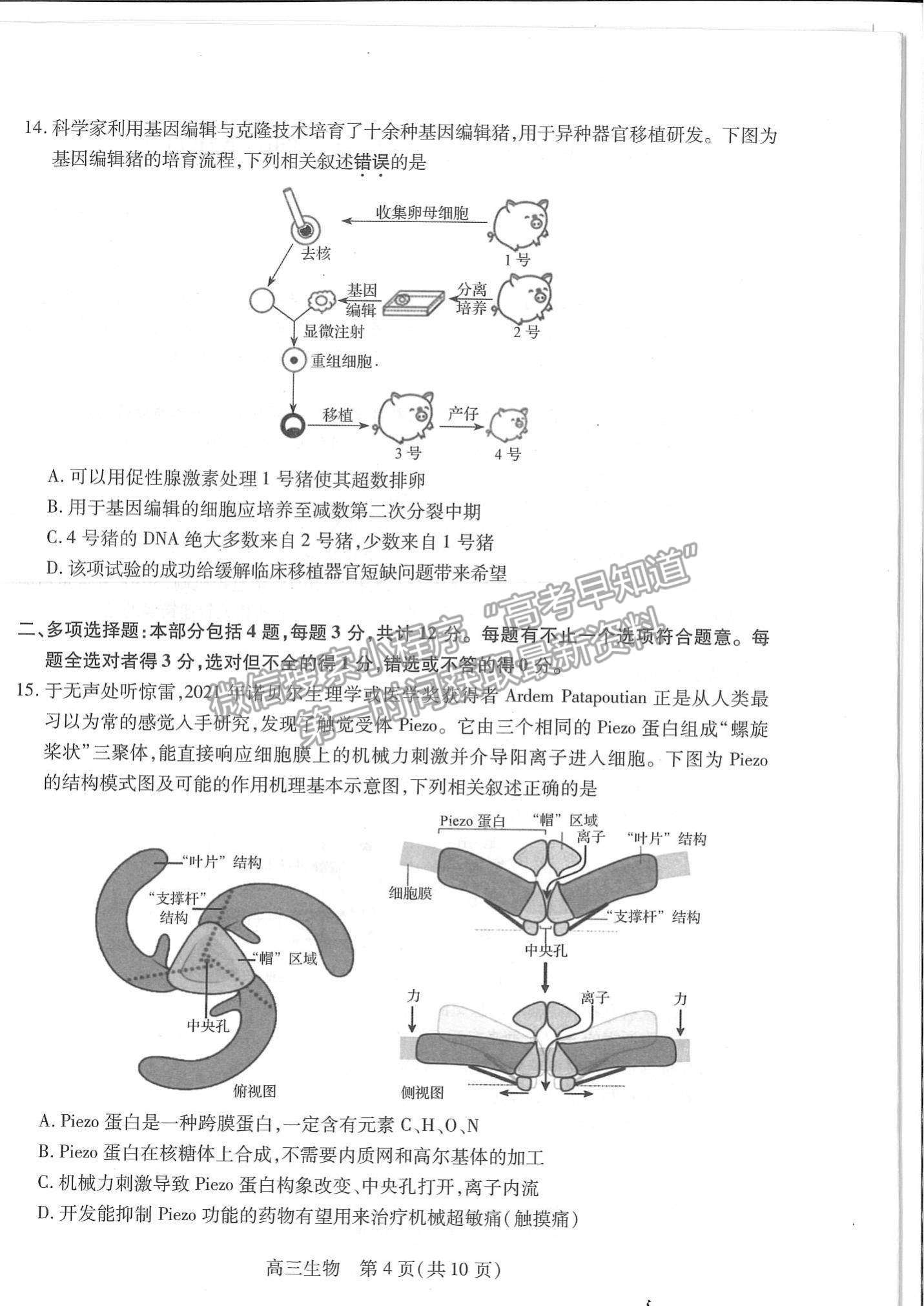 2022江蘇省蘇州市高三上學(xué)期期中調(diào)研測(cè)試生物試題及參考答案